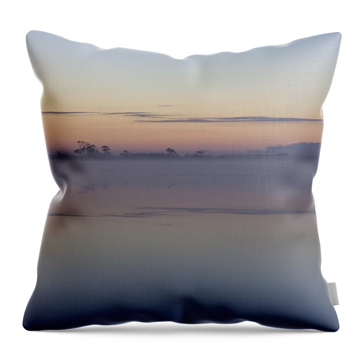 Chincoteague Throw Pillow featuring the photograph Sunrise At The Snow Goose Pool by Denise Bush