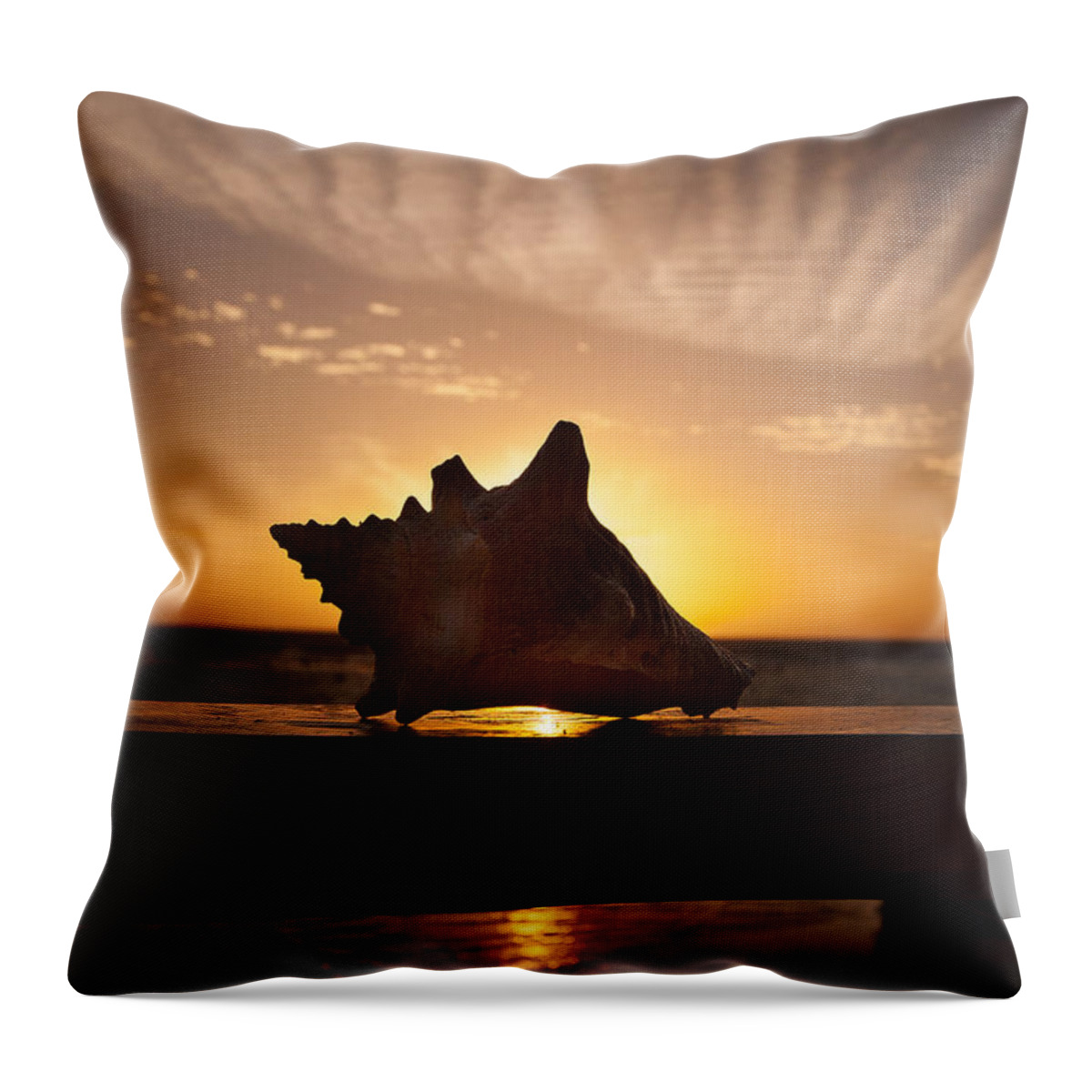 Sunrise Conch Throw Pillow featuring the photograph Sunrise Conch by Jean Noren