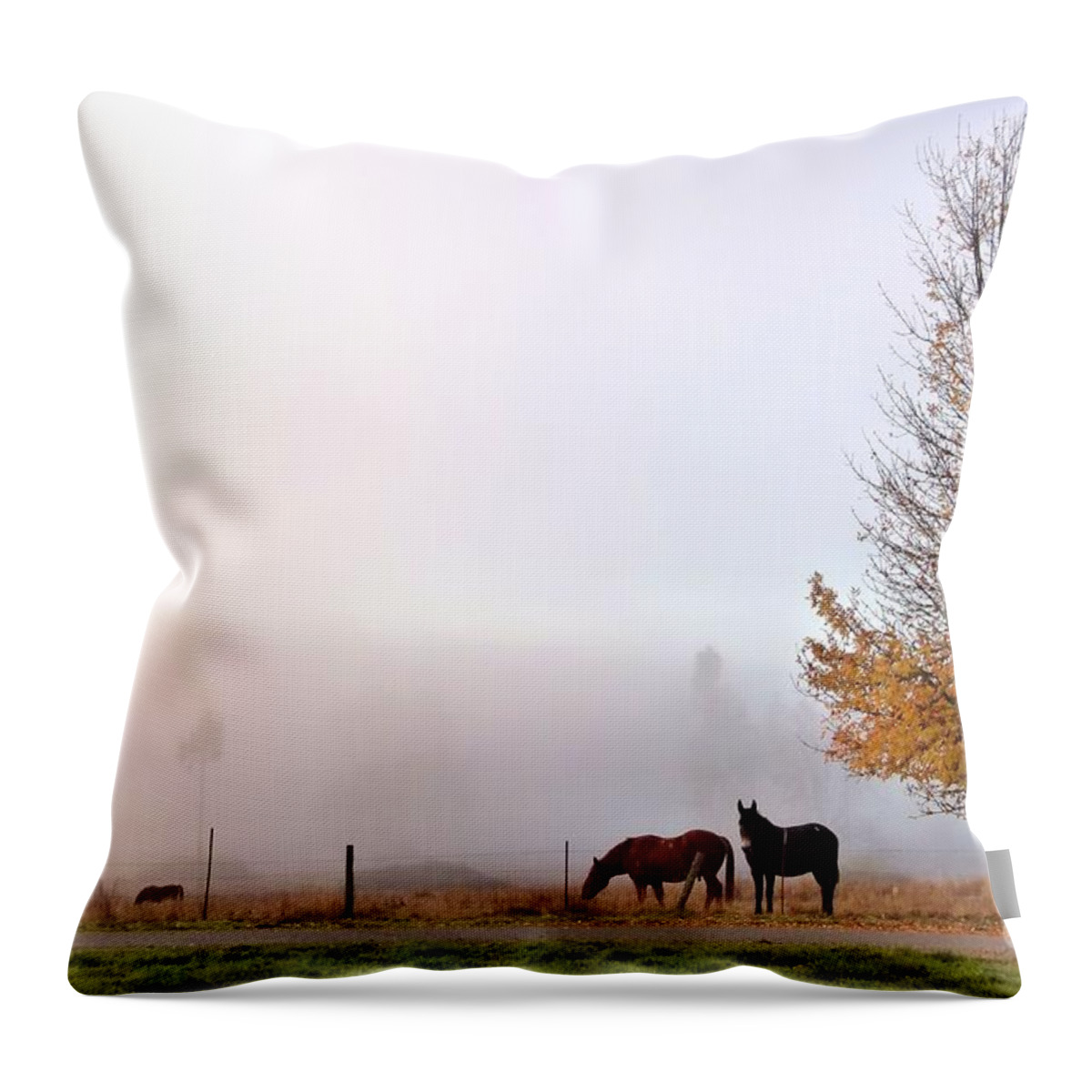 Landscape Throw Pillow featuring the photograph Sunrise Fog by Julia Hassett