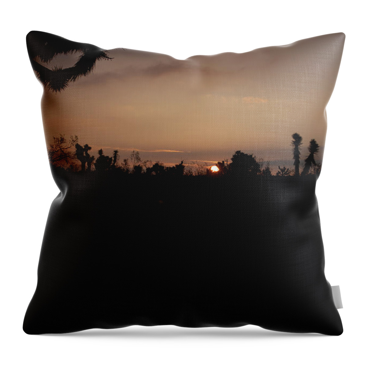Sunrise In The Desert Throw Pillow featuring the photograph Sunrise in the Desert by Ivete Basso Photography