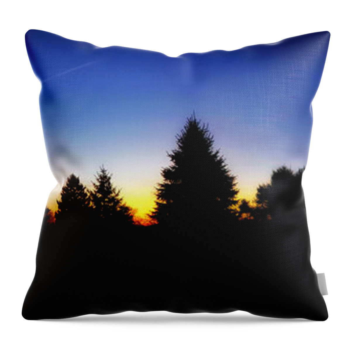 Il Throw Pillow featuring the photograph Sunrise Over East Lawn Panorama by Thomas Woolworth