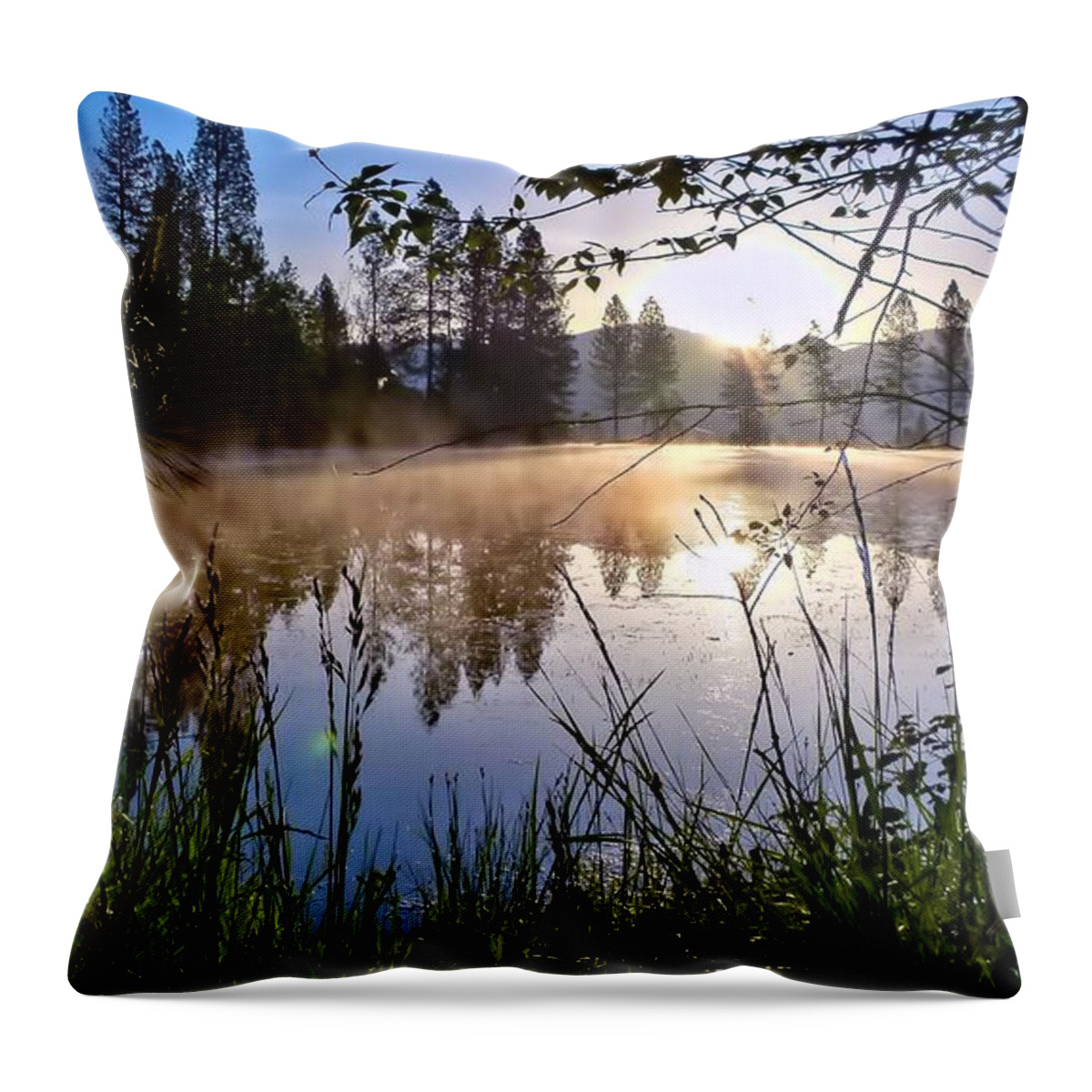 Landscape Throw Pillow featuring the photograph Sunrise Over Heron Pond by Julia Hassett