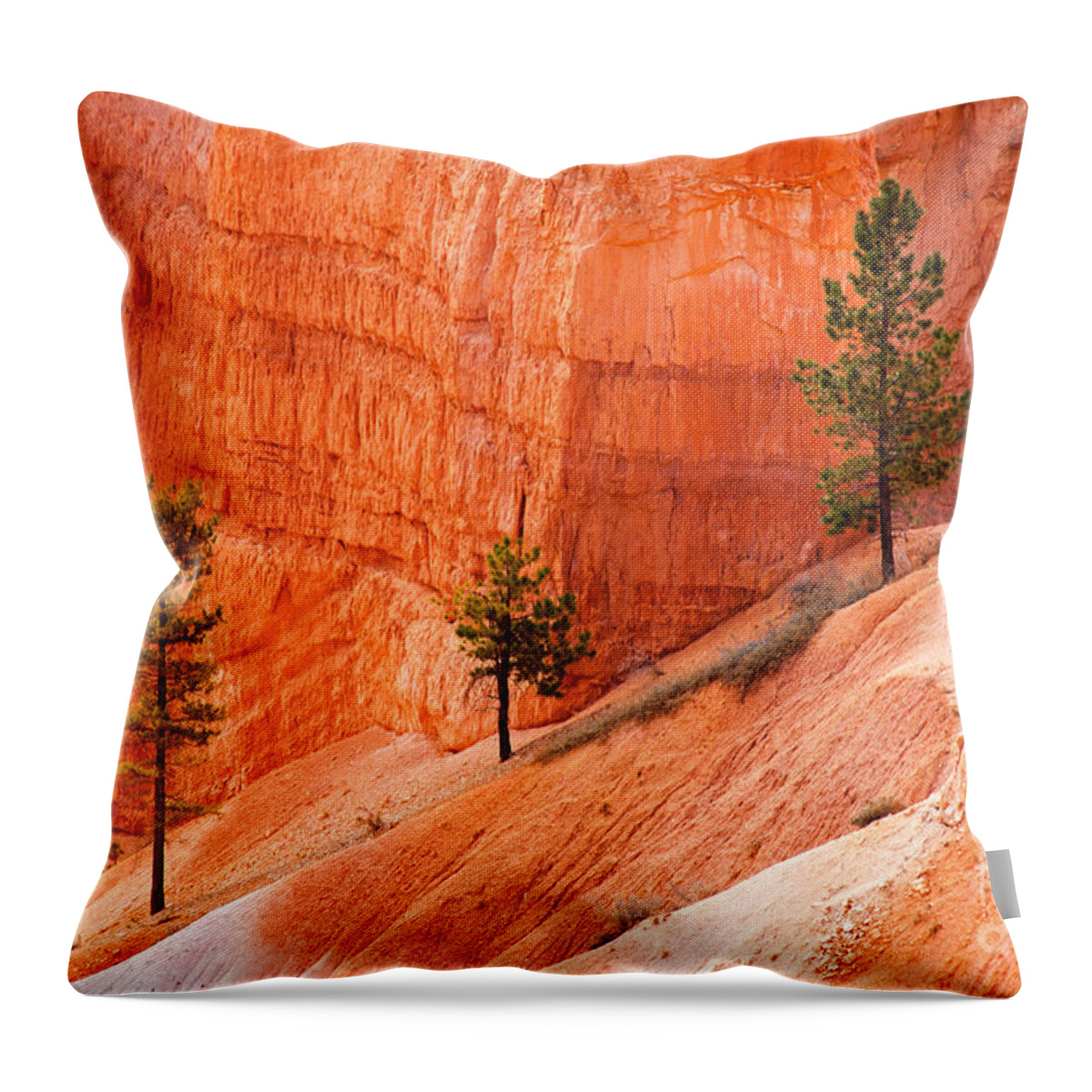 Bryce Canyon Throw Pillow featuring the photograph Sunrise Point Bryce Canyon National Park by Fred Stearns