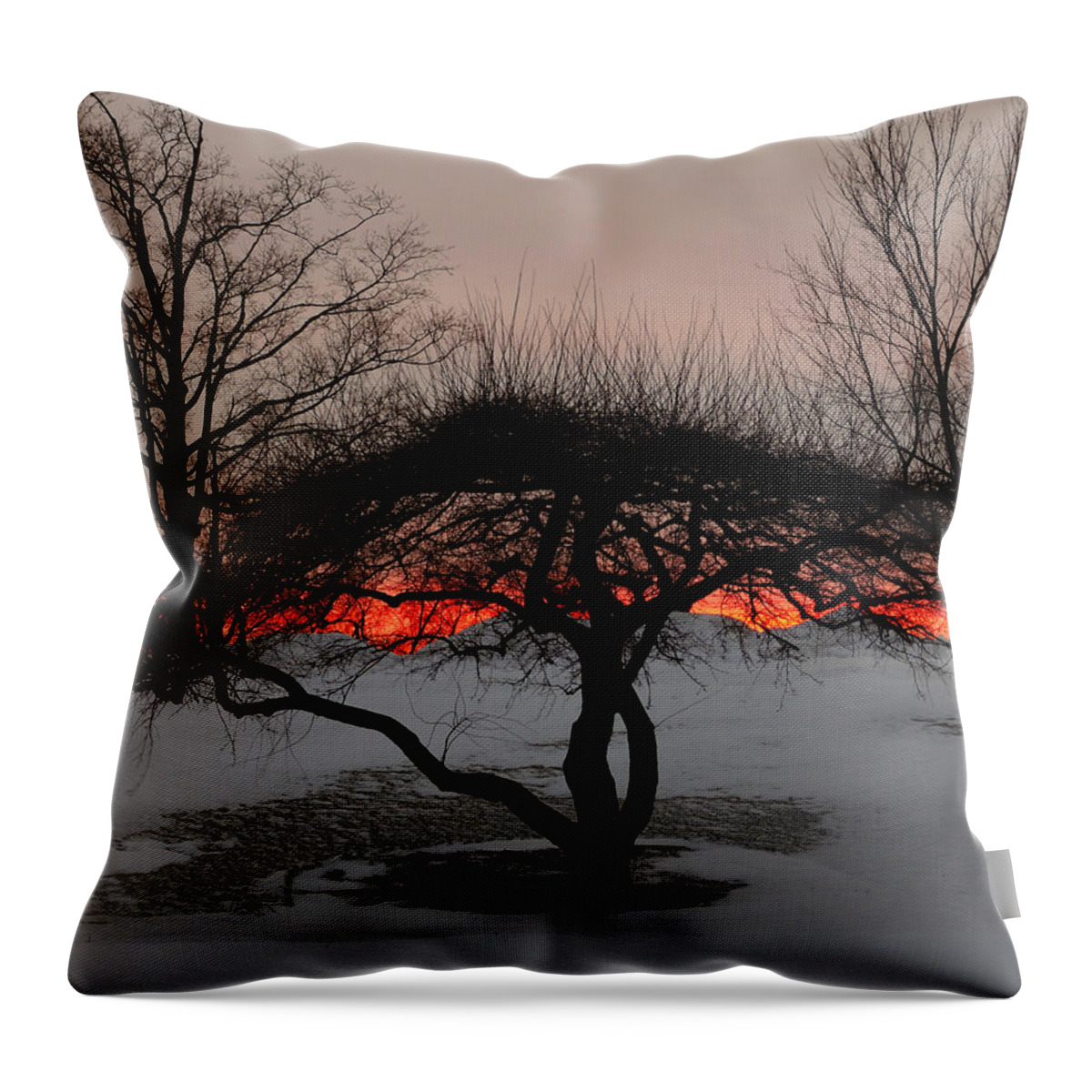 Tree Throw Pillow featuring the photograph Sunroof by Luke Moore