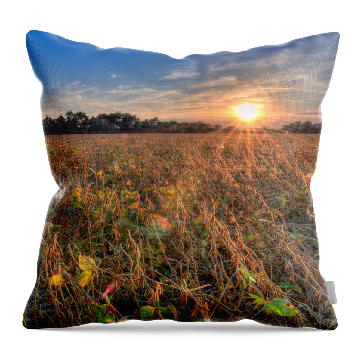 Sunset Throw Pillow featuring the photograph Sunset and Soybeans by Steve Stuller