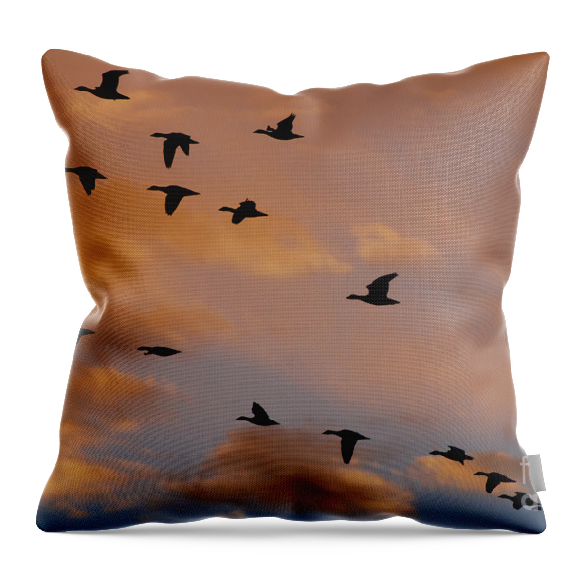 Sandhill Cranes Throw Pillow featuring the photograph Sunset at Bosque del Apache by John Greco