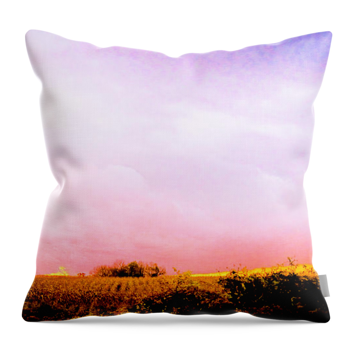 Farm Photo Throw Pillow featuring the photograph Sunset at the Farm by Sara Frank