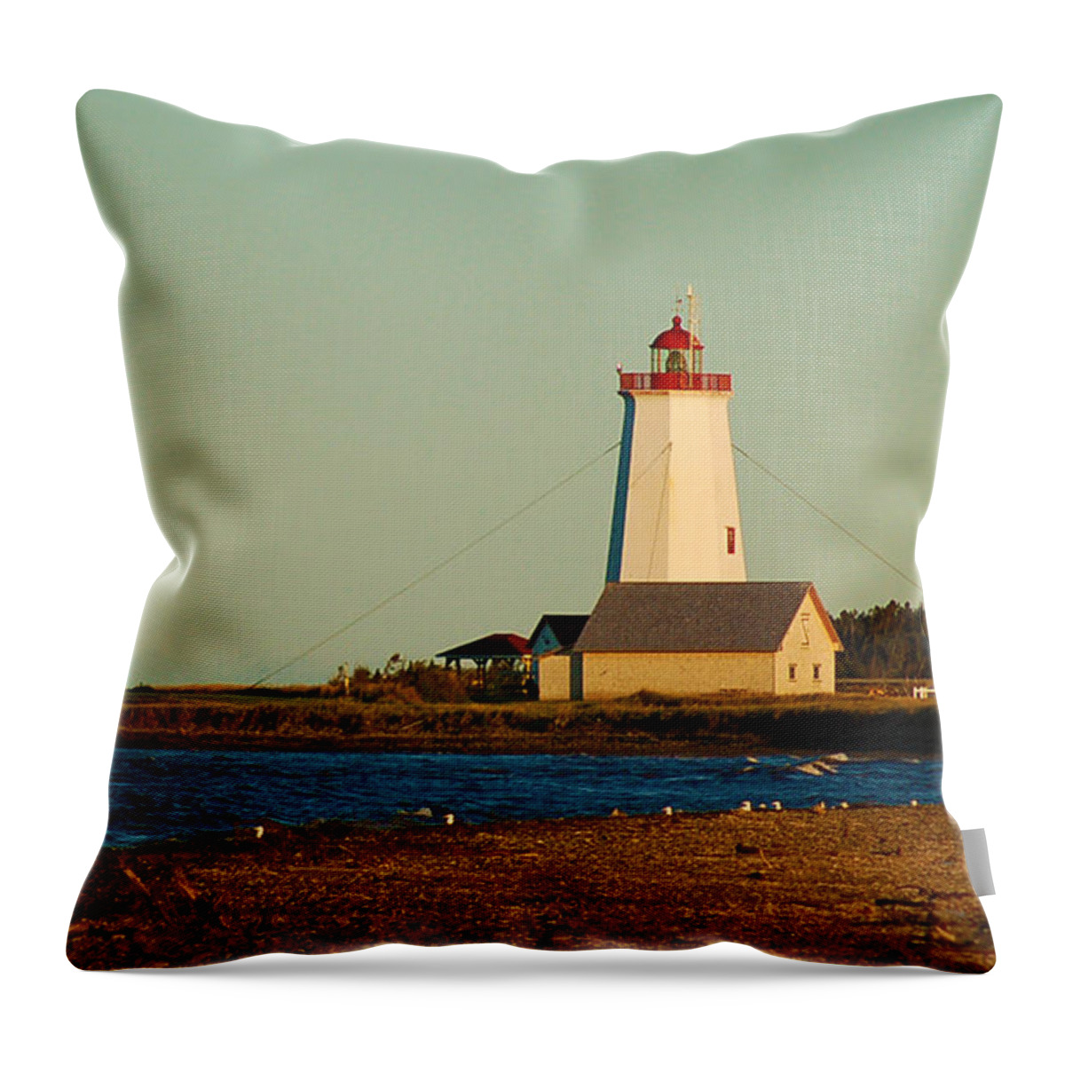 Sunset Throw Pillow featuring the photograph Sunset at the Point by Ron Haist