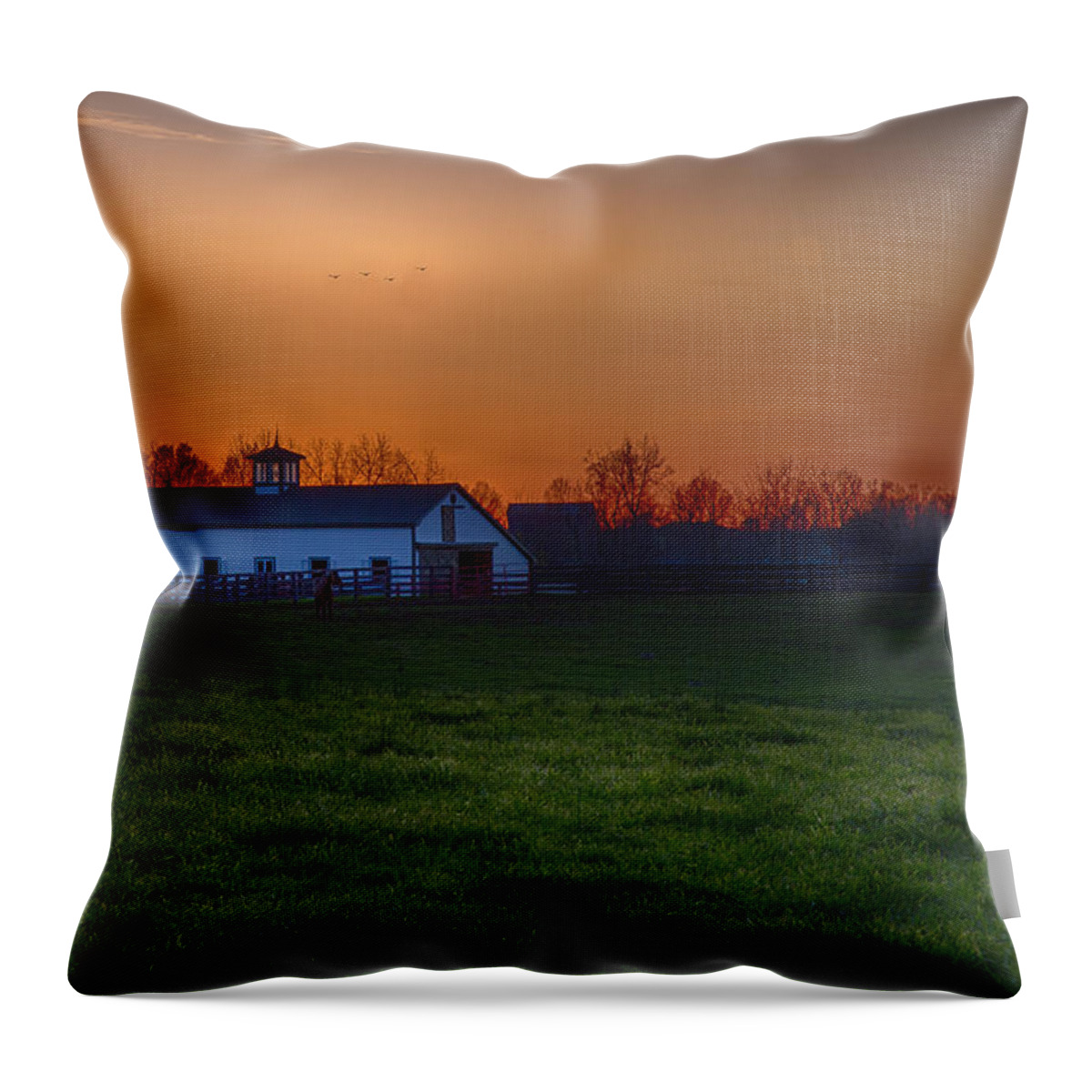 Animal Throw Pillow featuring the photograph Walmac Farm KY by Jack R Perry