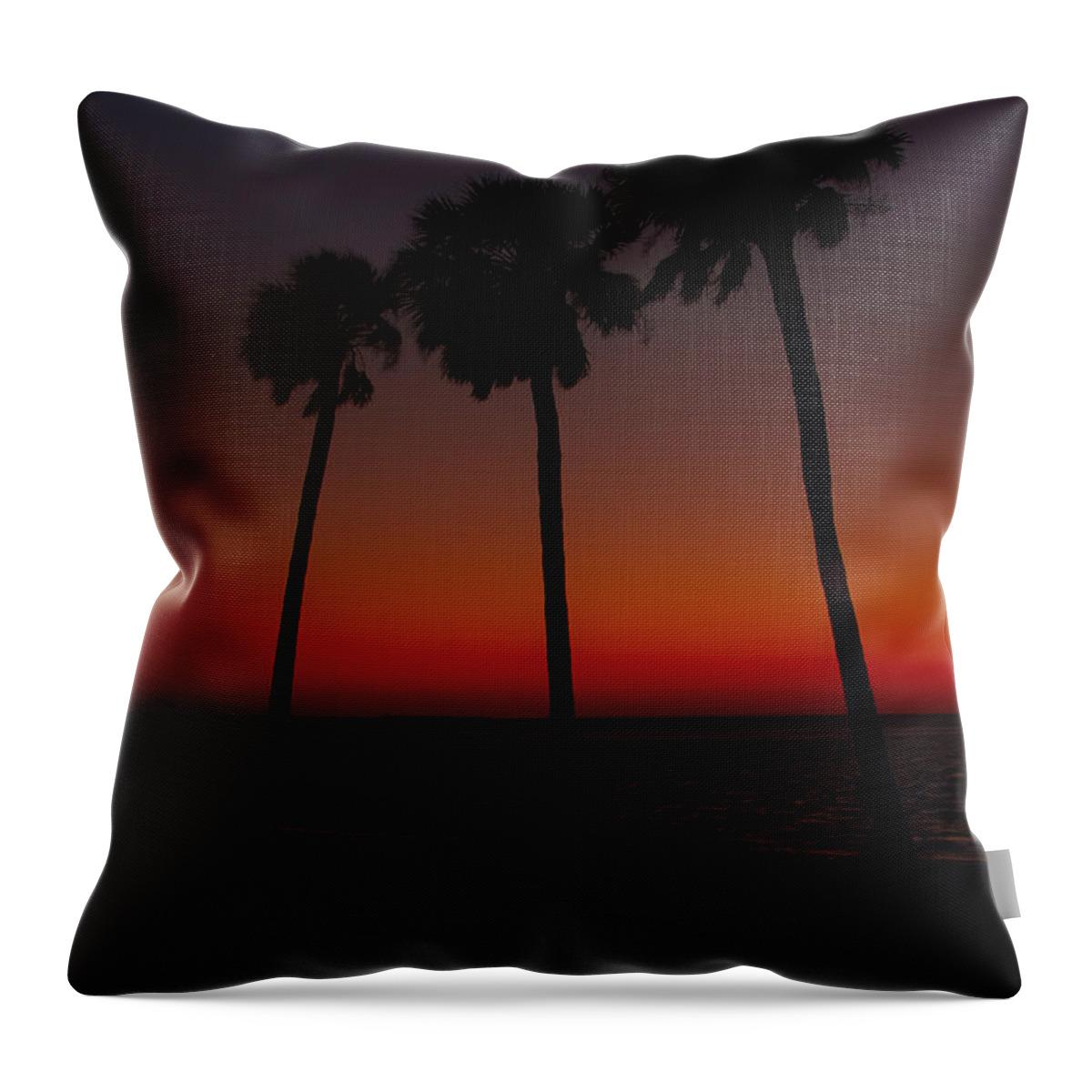 Florida Throw Pillow featuring the photograph Sunset Beach Silhouette by Jerry Nettik
