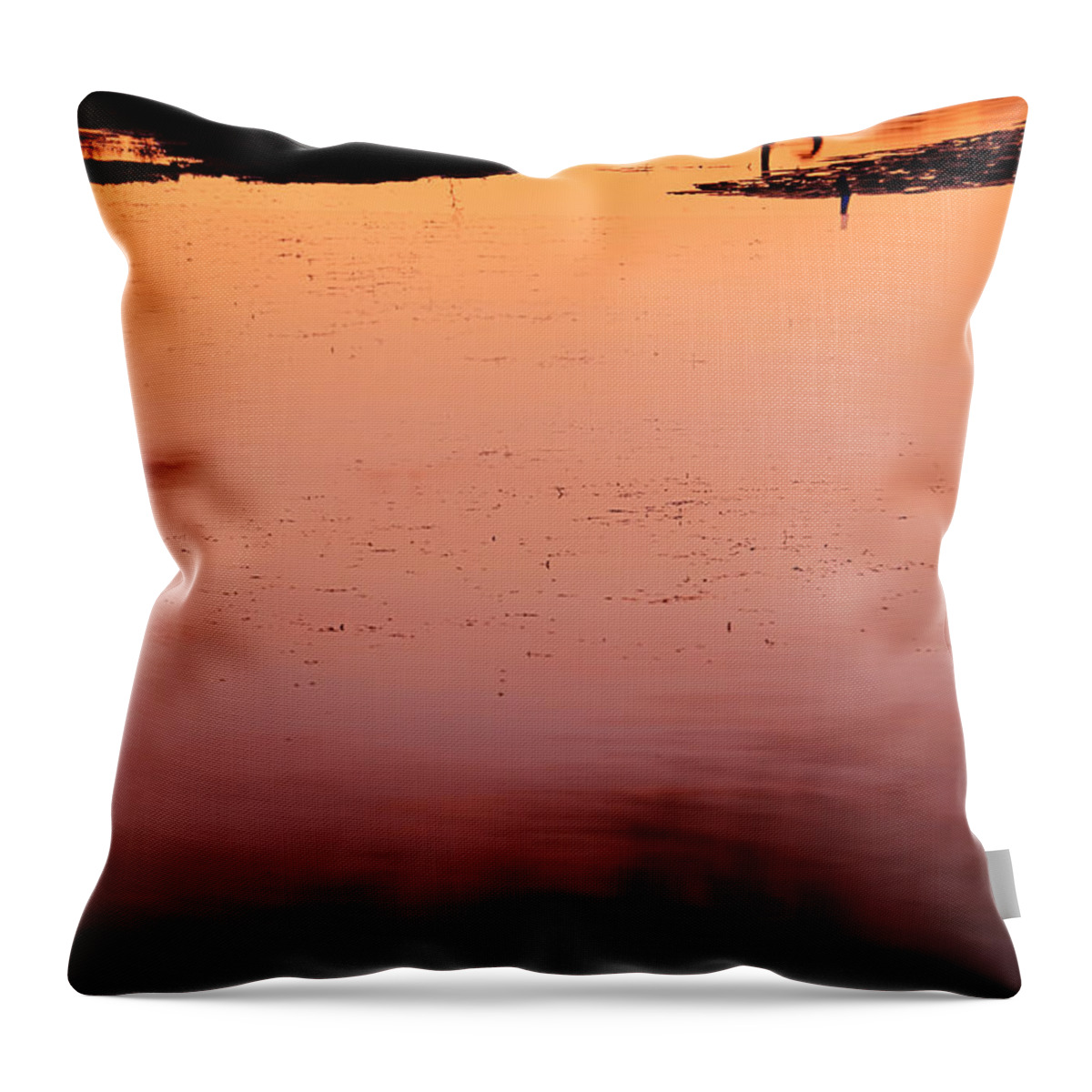 Marsala Art Throw Pillow featuring the photograph Sunset Discourse- Gorton Pond Warwick Rhode Island by Lourry Legarde