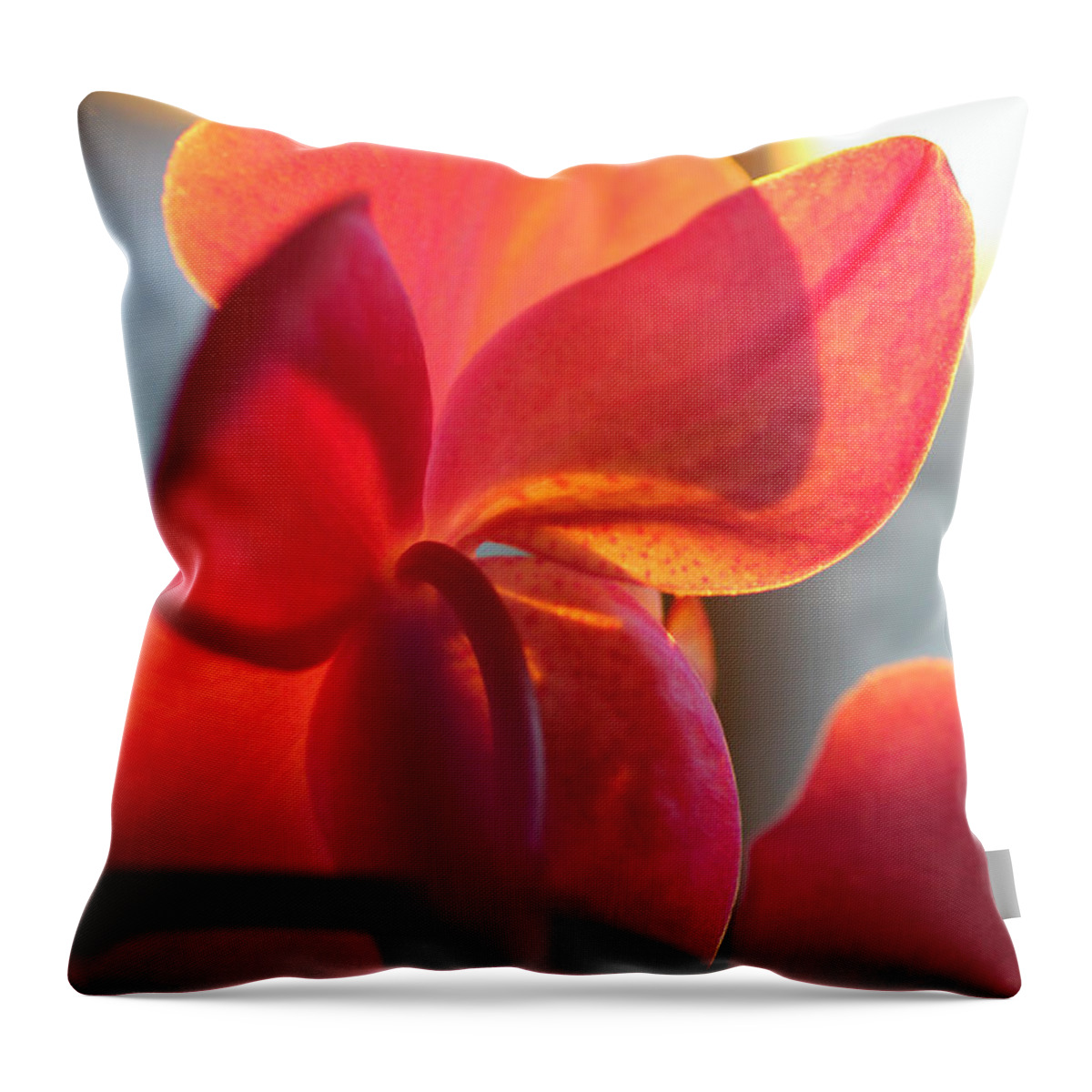 Spring Throw Pillow featuring the photograph Sunset On An Orchid by Jennifer Churchman