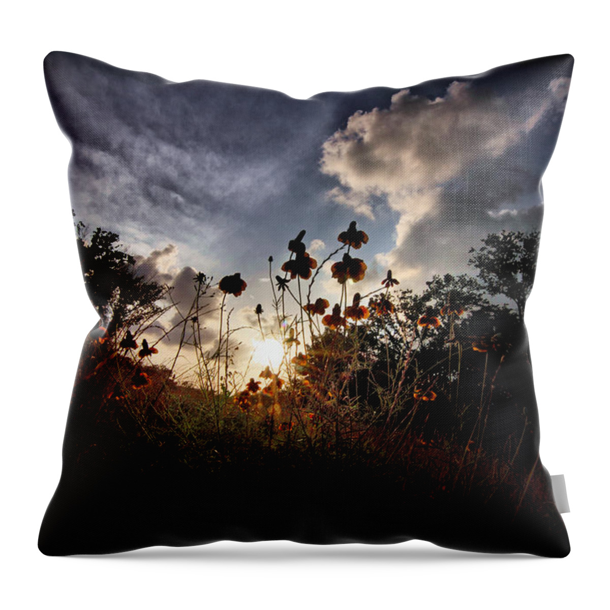 Flowers Throw Pillow featuring the digital art Sunset on Daisy by Linda Unger