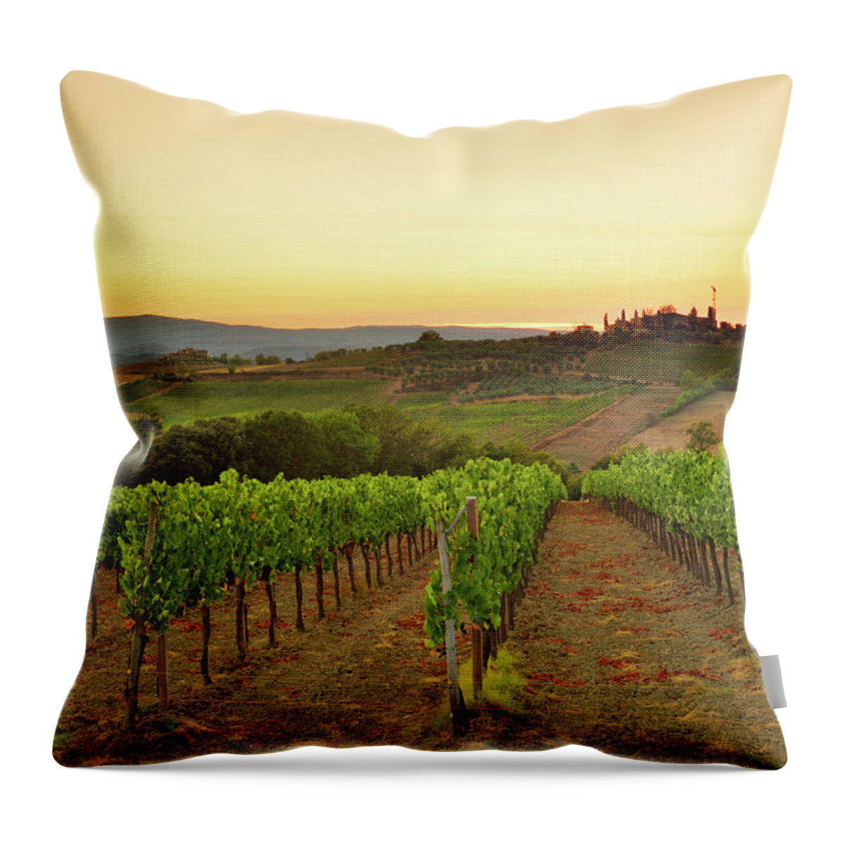 Environmental Conservation Throw Pillow featuring the photograph Sunset Over The Vineyard From Tuscany by Csondy