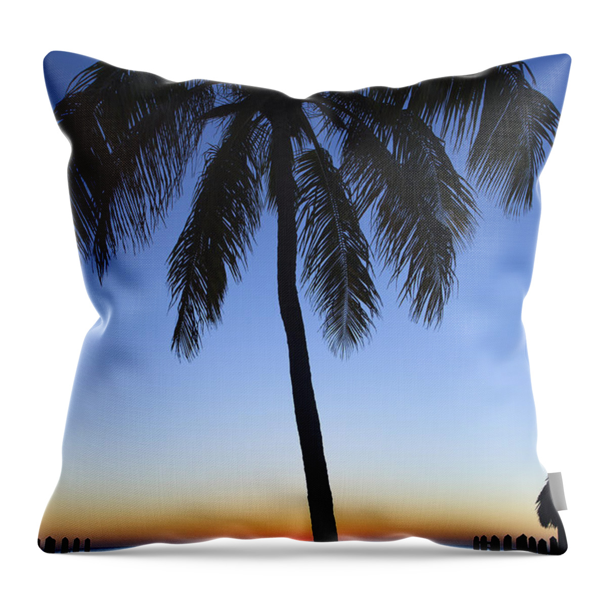 Bayshore Throw Pillow featuring the photograph Sunset Palm by Raul Rodriguez