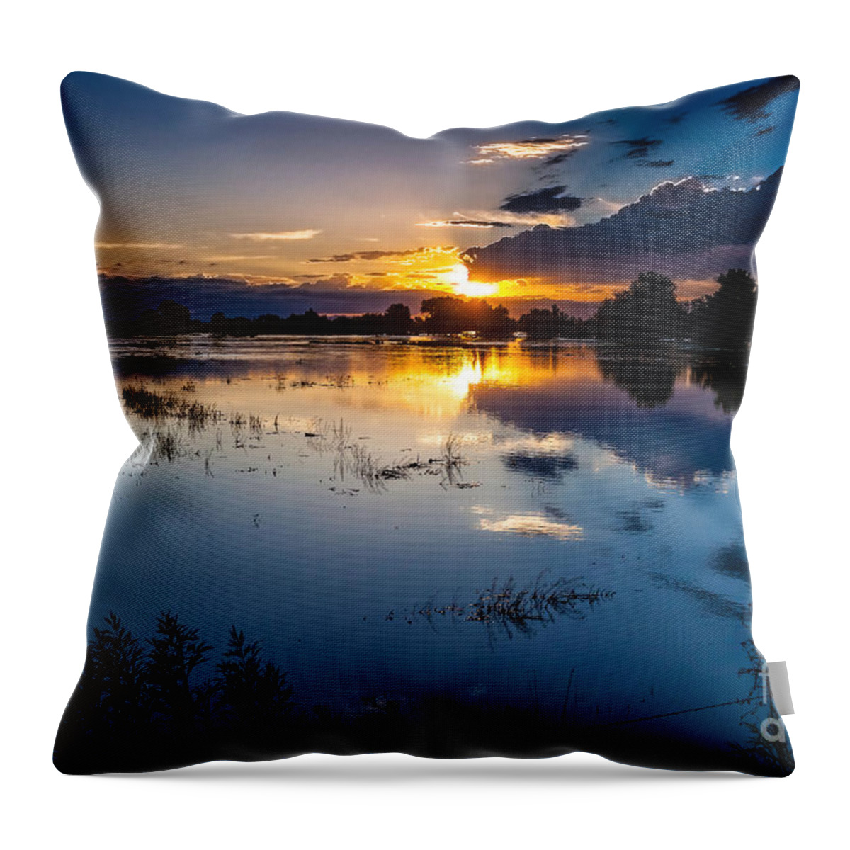 Nature Throw Pillow featuring the photograph Sunset Reflections by Steven Reed