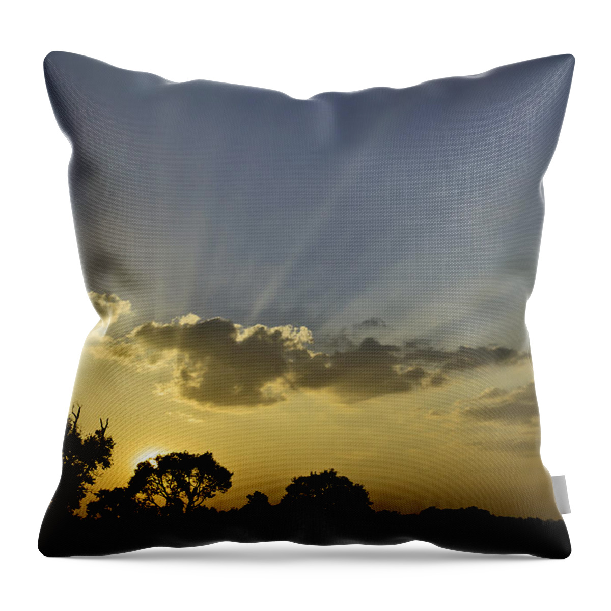 Sunset Throw Pillow featuring the photograph Sunset sunrays by David Freuthal
