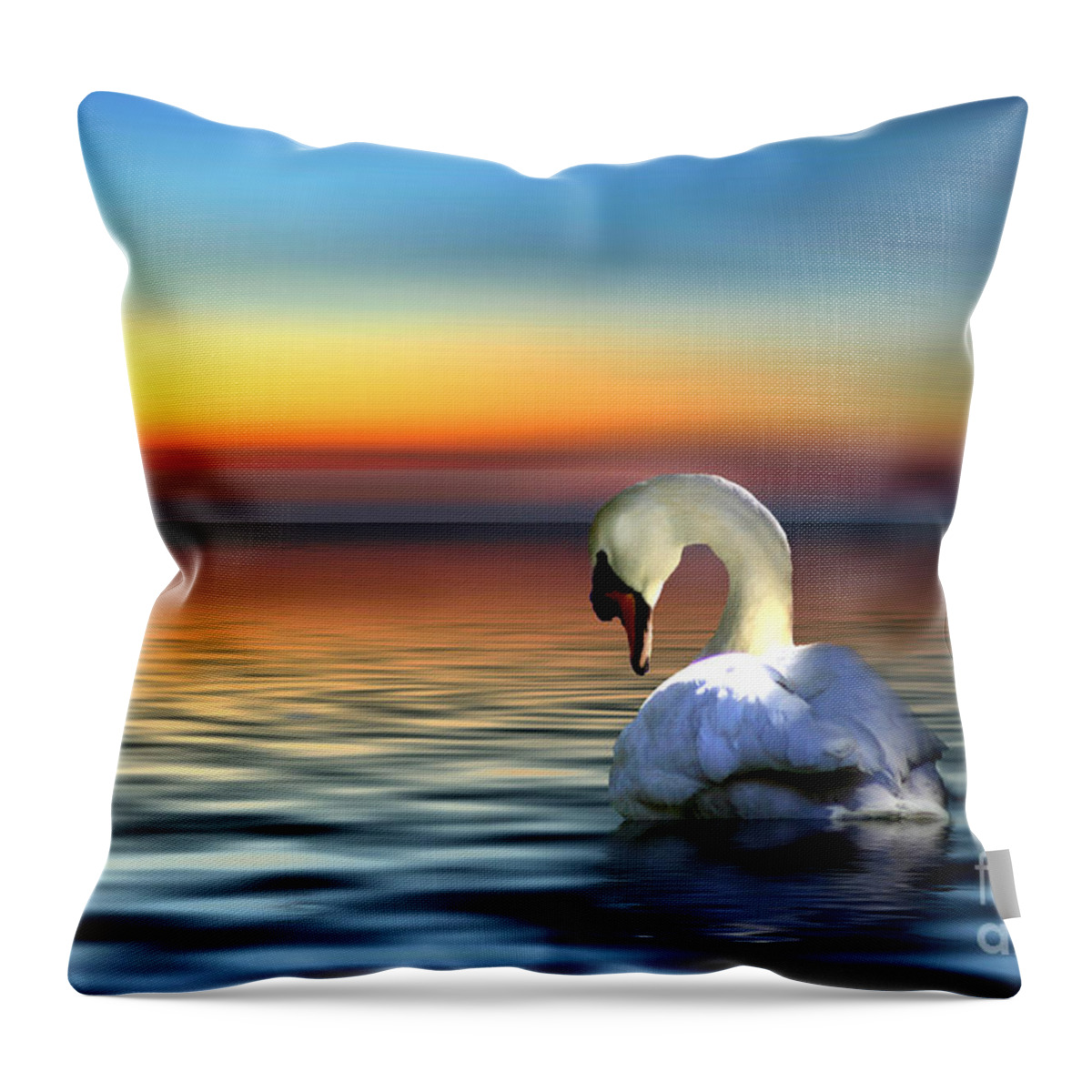 Swan Throw Pillow featuring the photograph Sunset Swan by Stephanie Laird