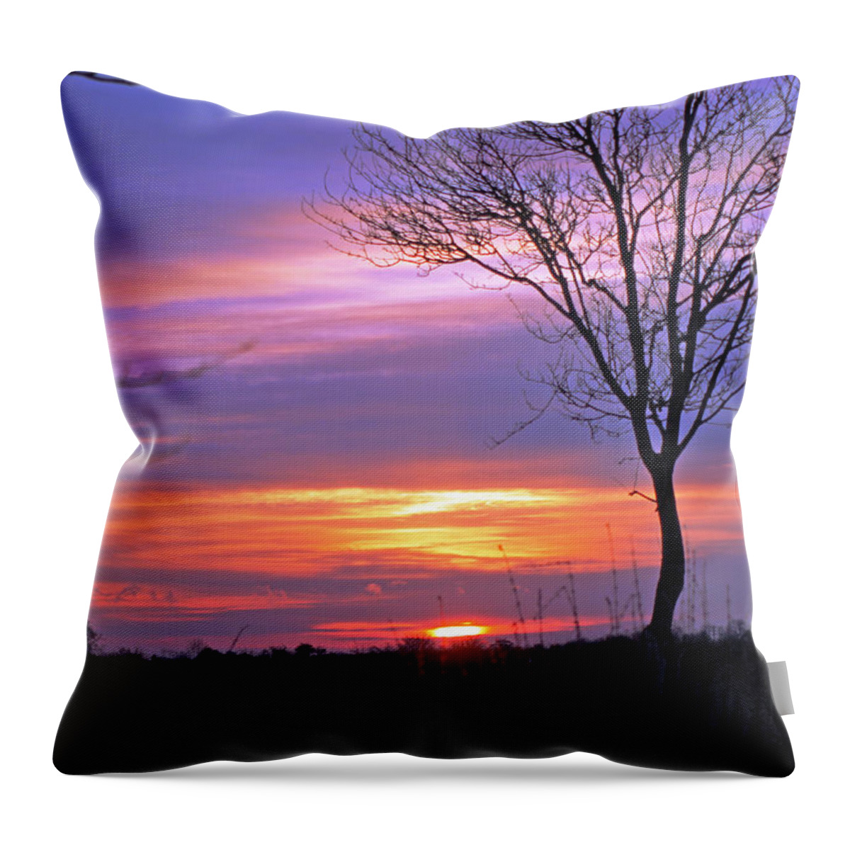 Sunset Throw Pillow featuring the photograph Sunset by Tony Murtagh