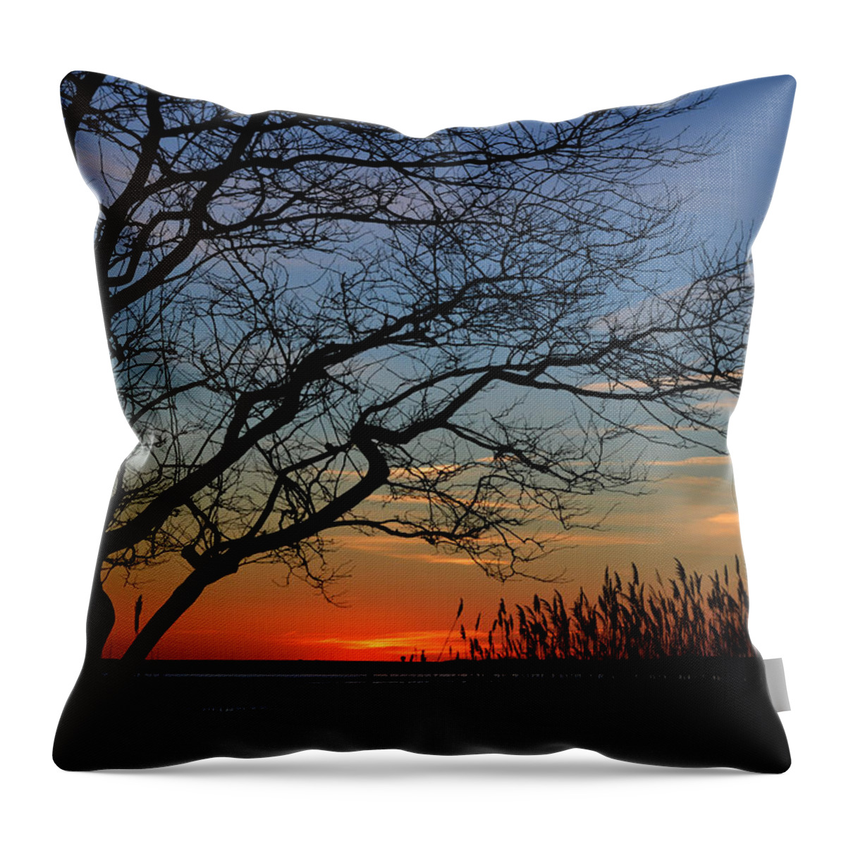 Assawoman Bay Throw Pillow featuring the photograph Sunset Tree in Ocean City MD by Bill Swartwout