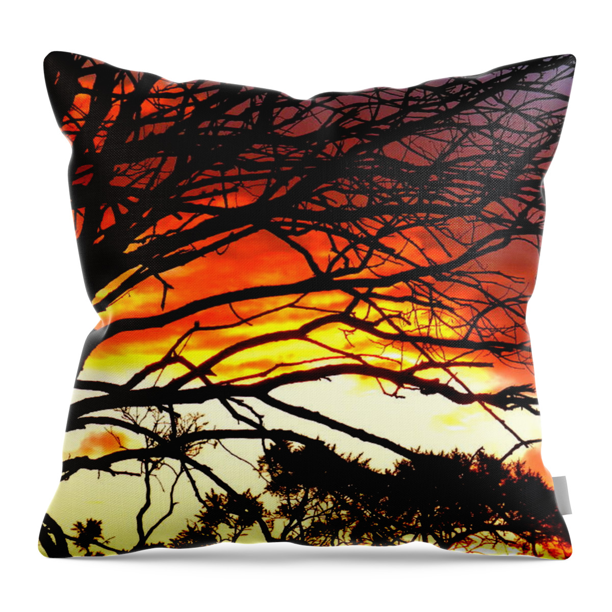 Sunset Throw Pillow featuring the photograph Sunset Tree Silhouette by Angel One
