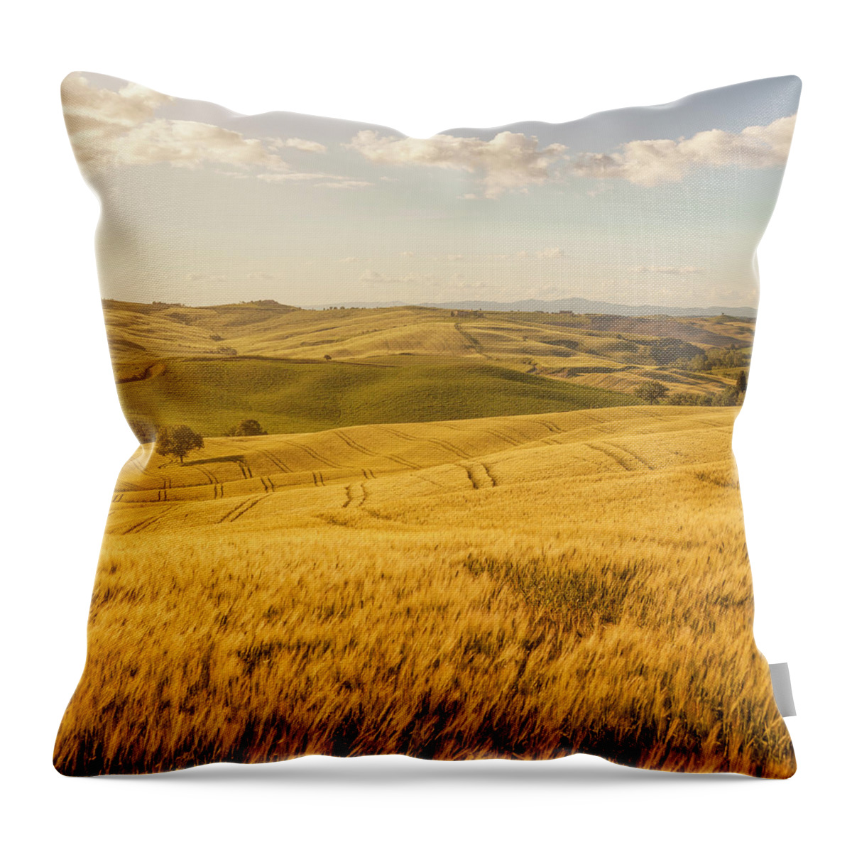Scenics Throw Pillow featuring the photograph Sunset Tuscany Landscape by Focusstock