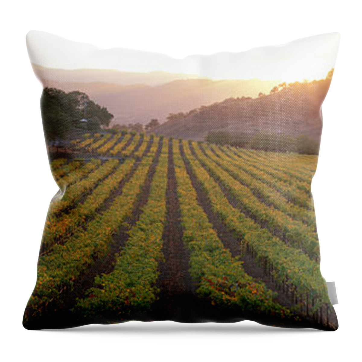 Photography Throw Pillow featuring the photograph Sunset, Vineyard, Napa Valley by Panoramic Images