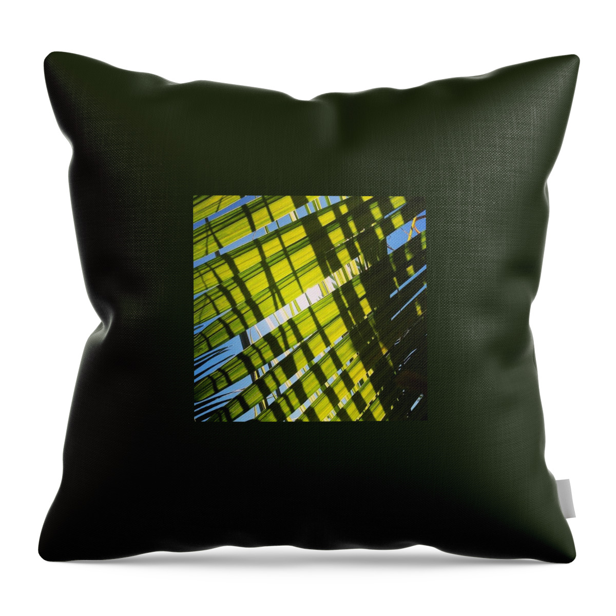 Palm Throw Pillow featuring the photograph Sunshade Palm by J Lopez