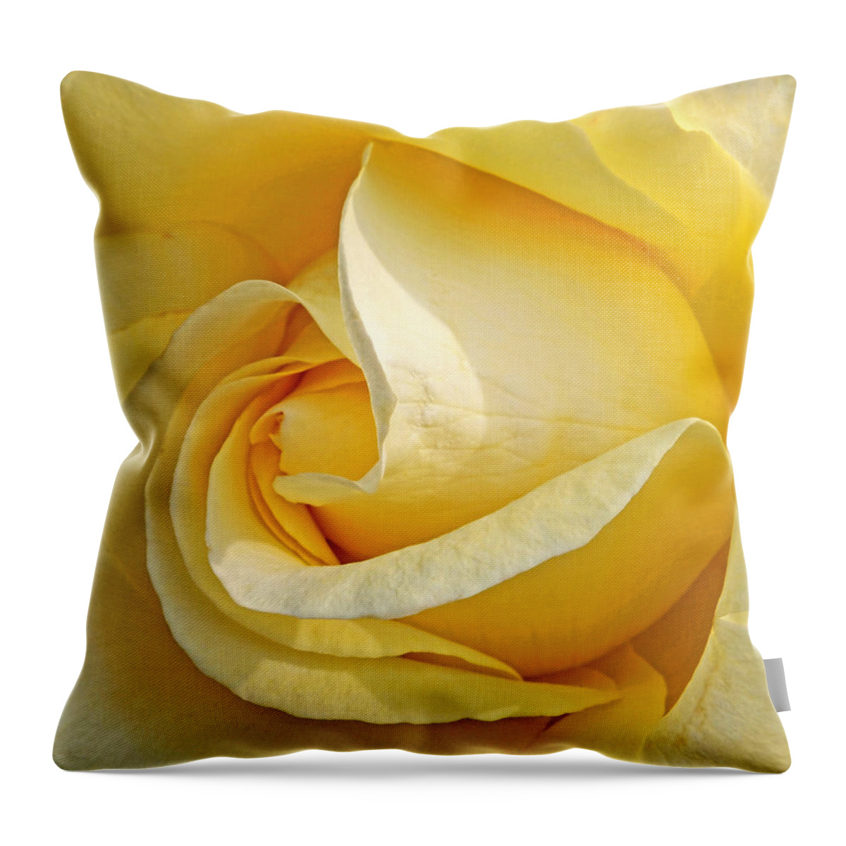Rose Throw Pillow featuring the photograph Sunshine Rose by Gill Billington