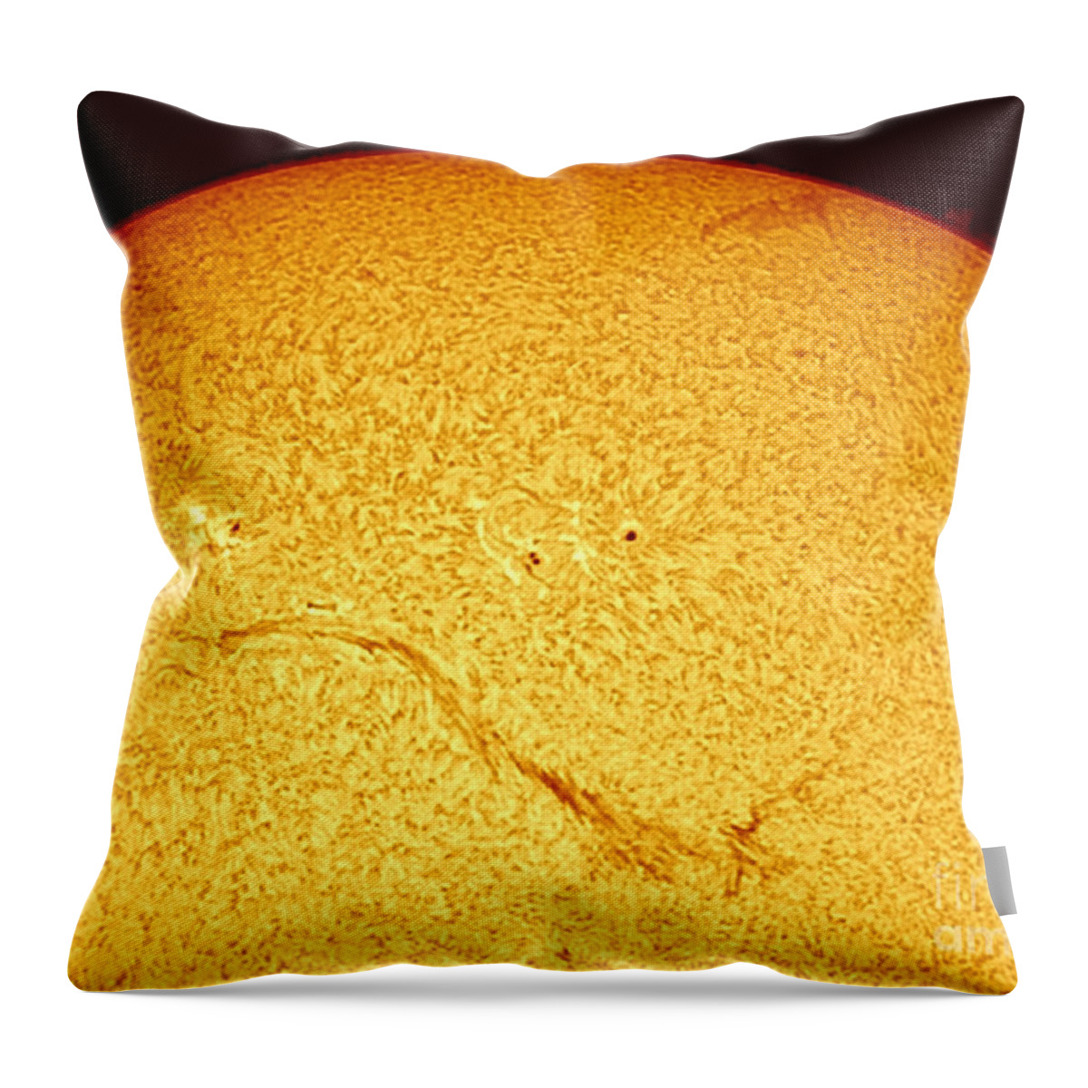 Science Throw Pillow featuring the photograph Super Long Solar Filament, 2012 by John Chumack