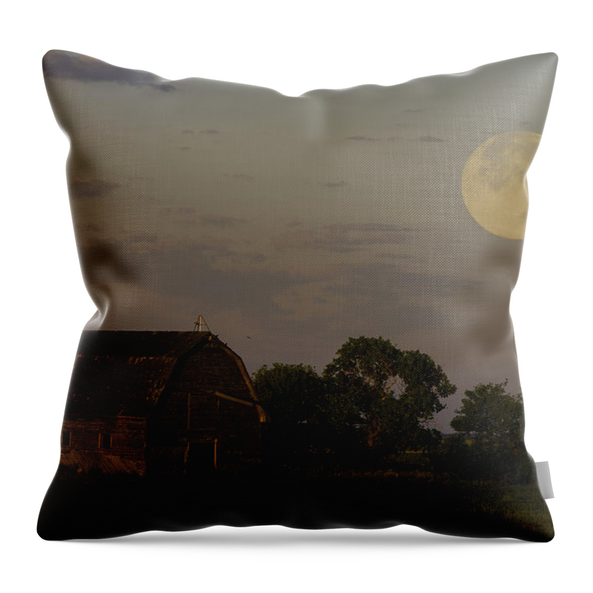 Ohm Throw Pillow featuring the photograph Super Moon by Nebojsa Novakovic