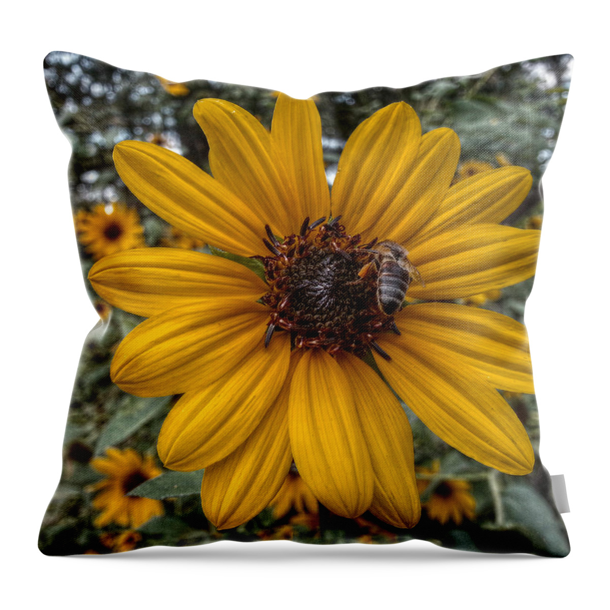 Sunflower Throw Pillow featuring the digital art Suppers' Ready by Linda Unger