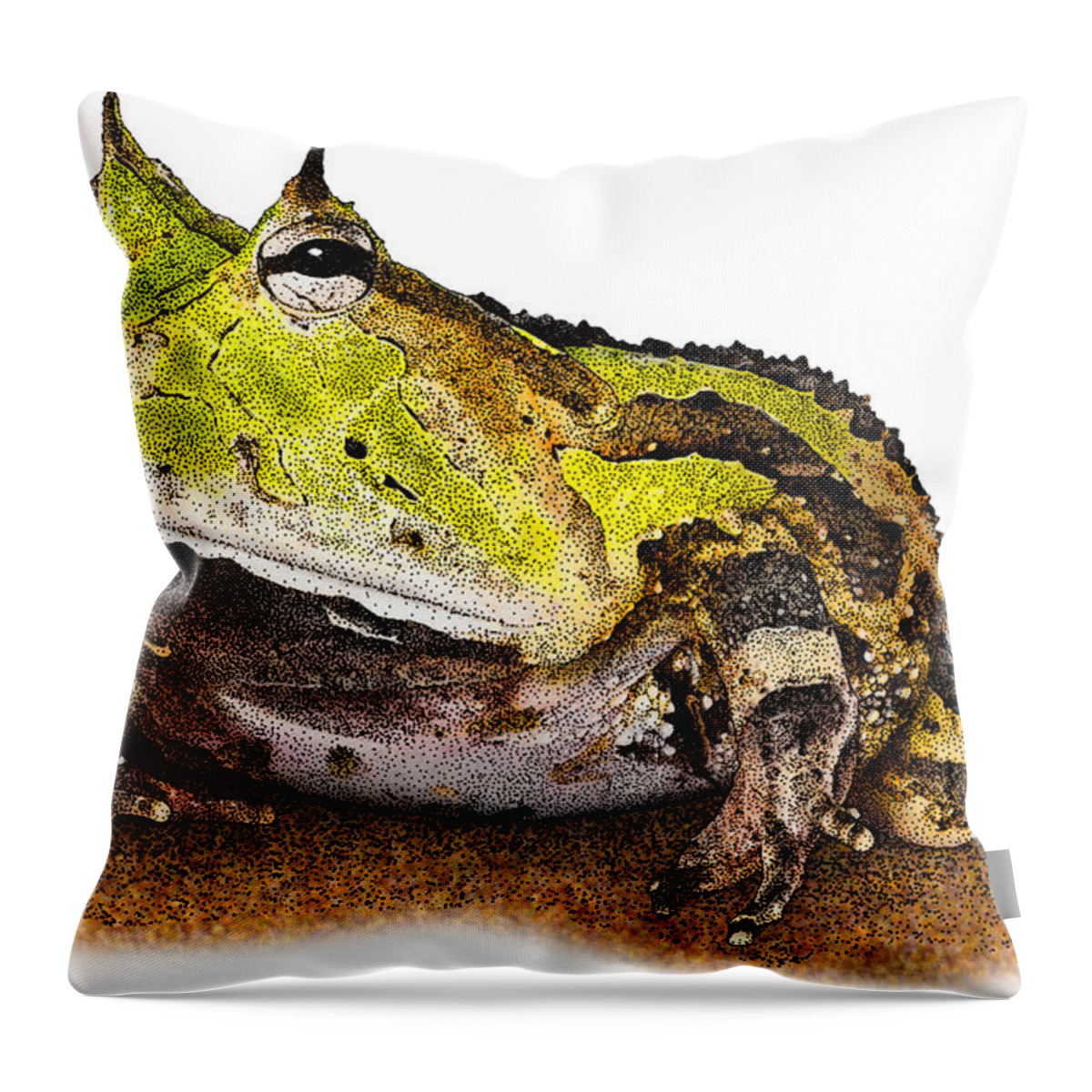 Surinam Horned Frog Throw Pillow featuring the photograph Surinam Horned Frog, C. Cornuta by Roger Hall