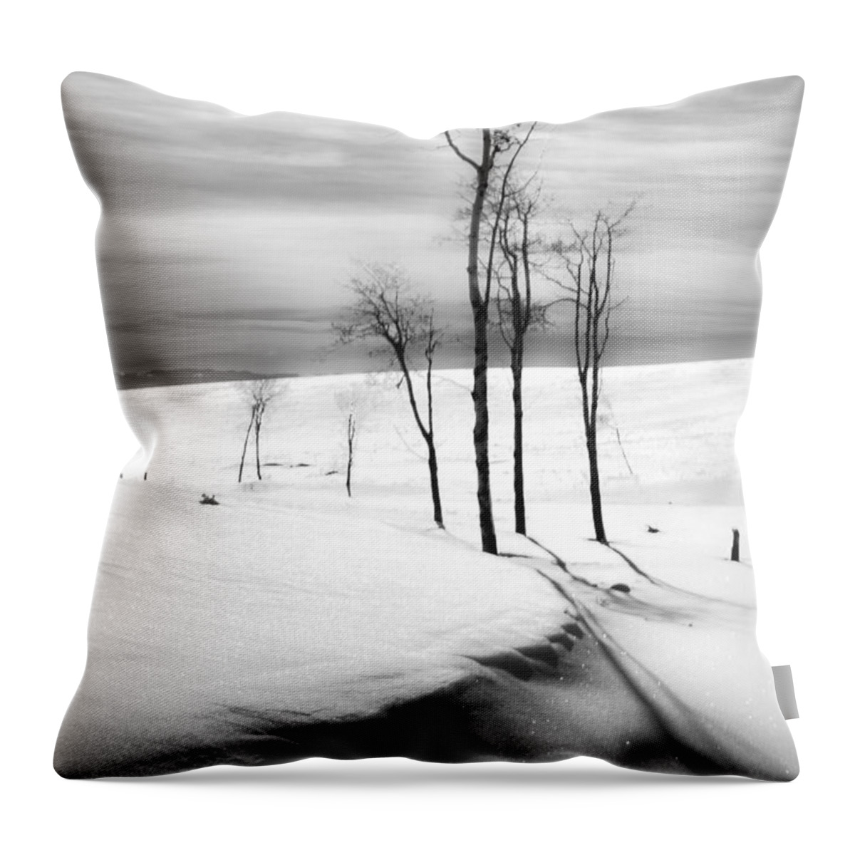Theresa Leigh Throw Pillow featuring the photograph Surreal Snowscape 2 by Theresa Tahara