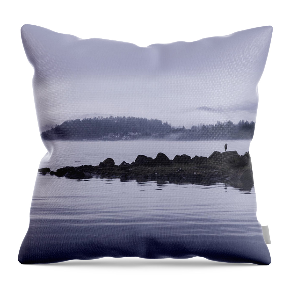 Fog Throw Pillow featuring the photograph Surveying the Fog by Monte Arnold