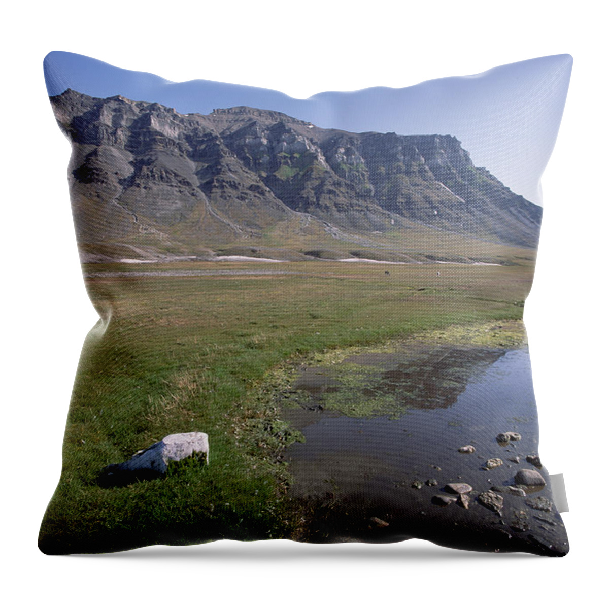 Feb0514 Throw Pillow featuring the photograph Svalbard Reindeer In Arctic Meadow by Tui De Roy