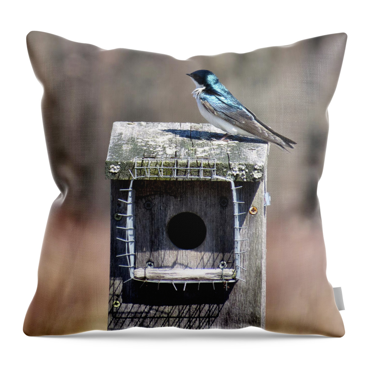 Tree Throw Pillow featuring the photograph Swallow Suitor by Art Dingo