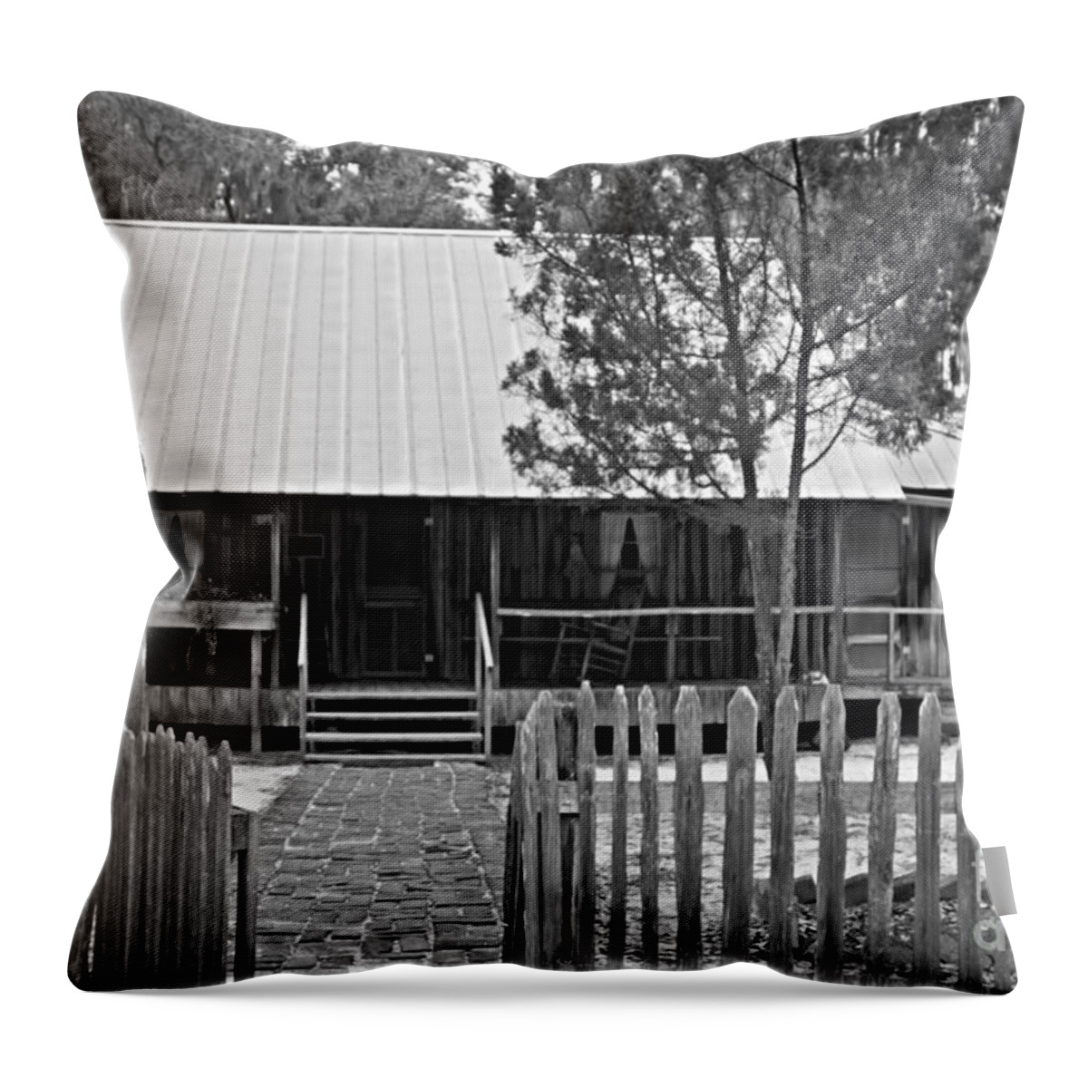 Chesser Home Place Throw Pillow featuring the photograph Swamp Home by Southern Photo