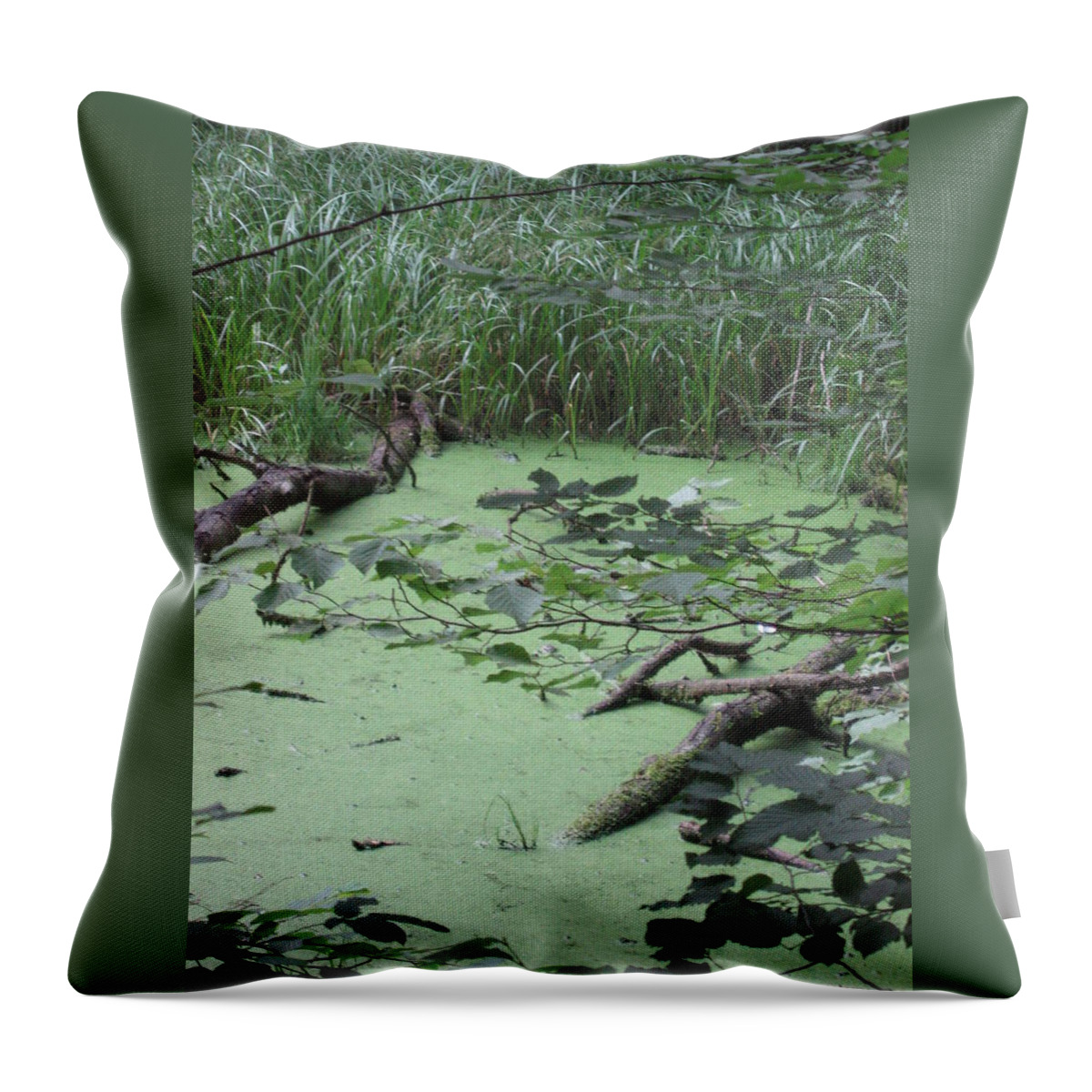  Throw Pillow featuring the photograph Swamp by Nora Boghossian