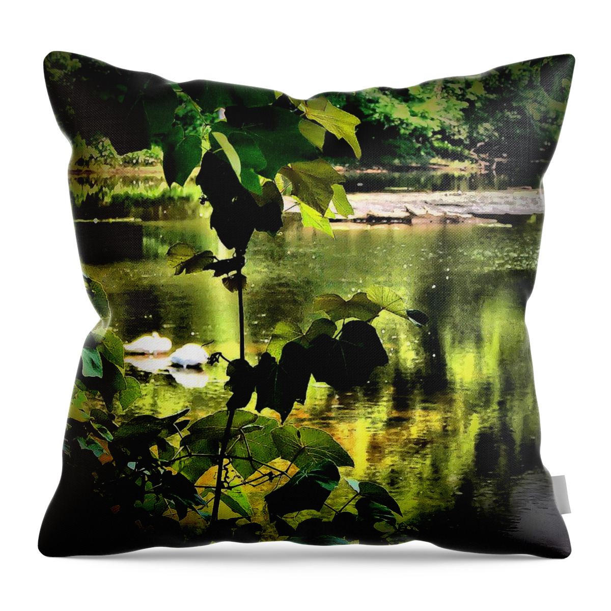 Animals Throw Pillow featuring the photograph Swan Dive by Robert McCubbin
