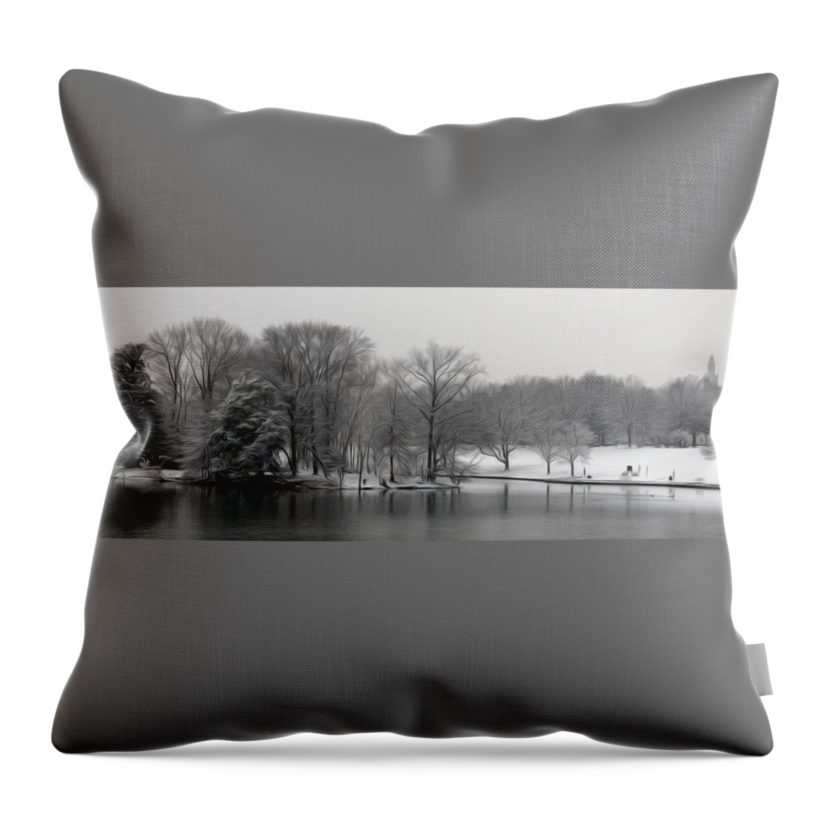 Swan Lake Throw Pillow featuring the digital art Swan Lake by Kelvin Booker