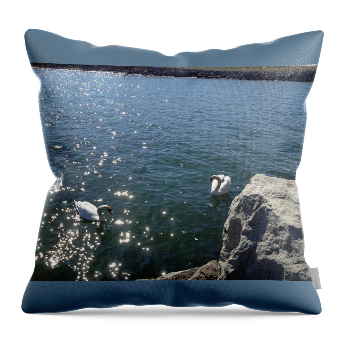 Swan Throw Pillow featuring the photograph Swans and Sparkles by Pema Hou