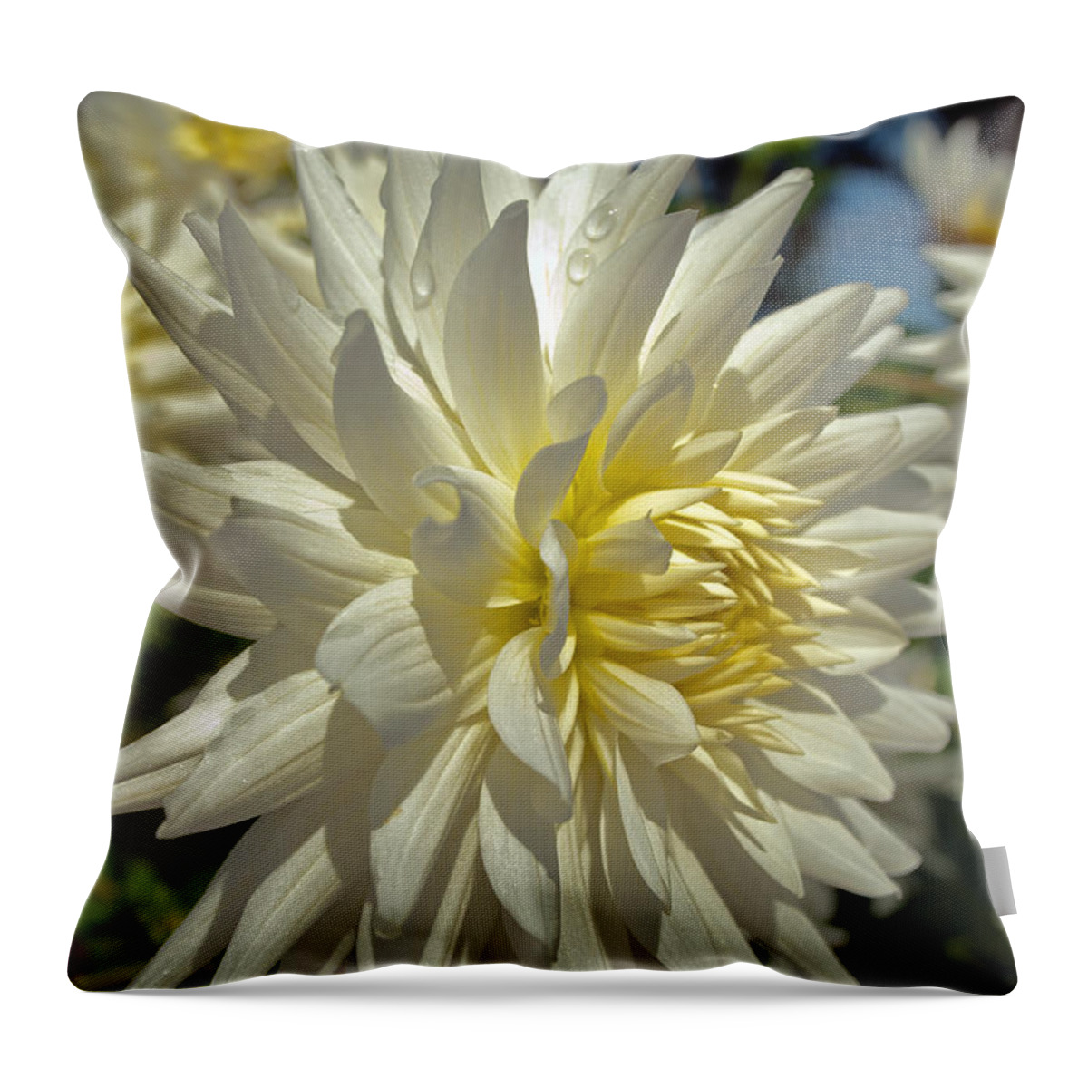 Flower Throw Pillow featuring the photograph Sweating Dahlia by Tikvah's Hope