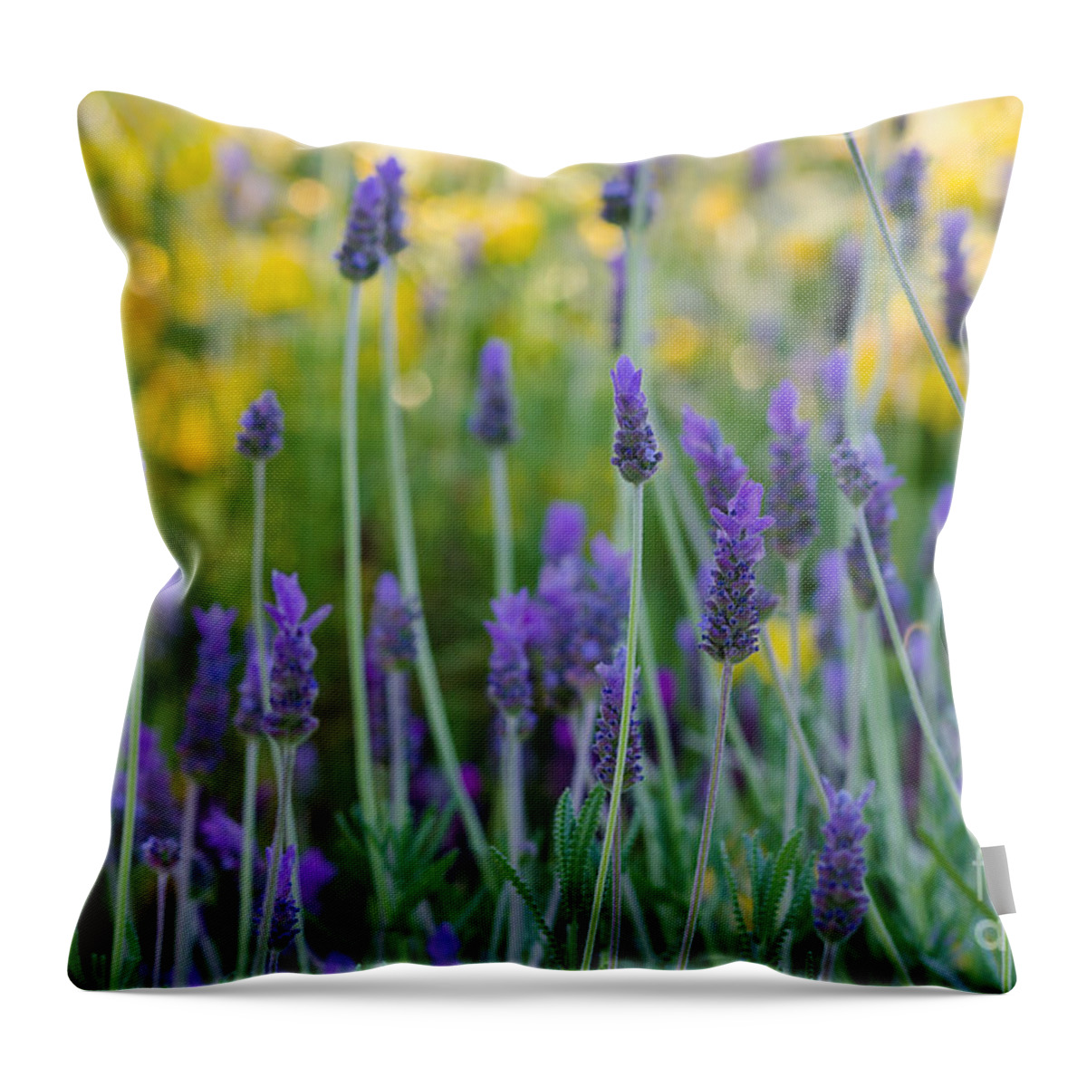 Flower Throw Pillow featuring the photograph Sweet and Savory by Tamara Becker
