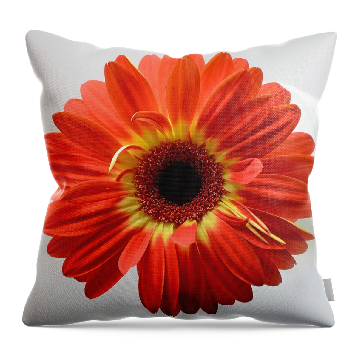 Flower Throw Pillow featuring the photograph Sweet and Simple by Melanie Moraga