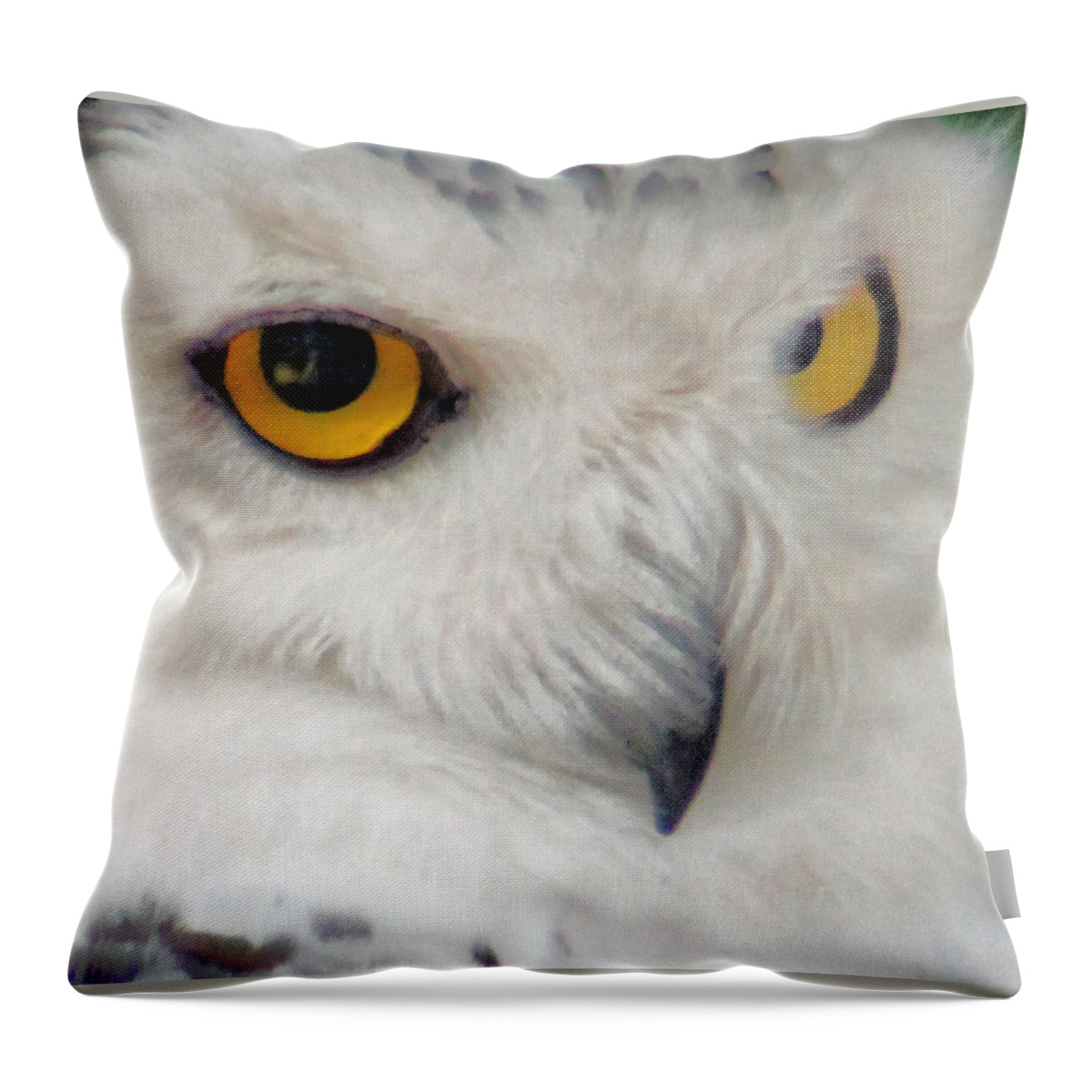 Owl Throw Pillow featuring the photograph Sweet angry by Lily K