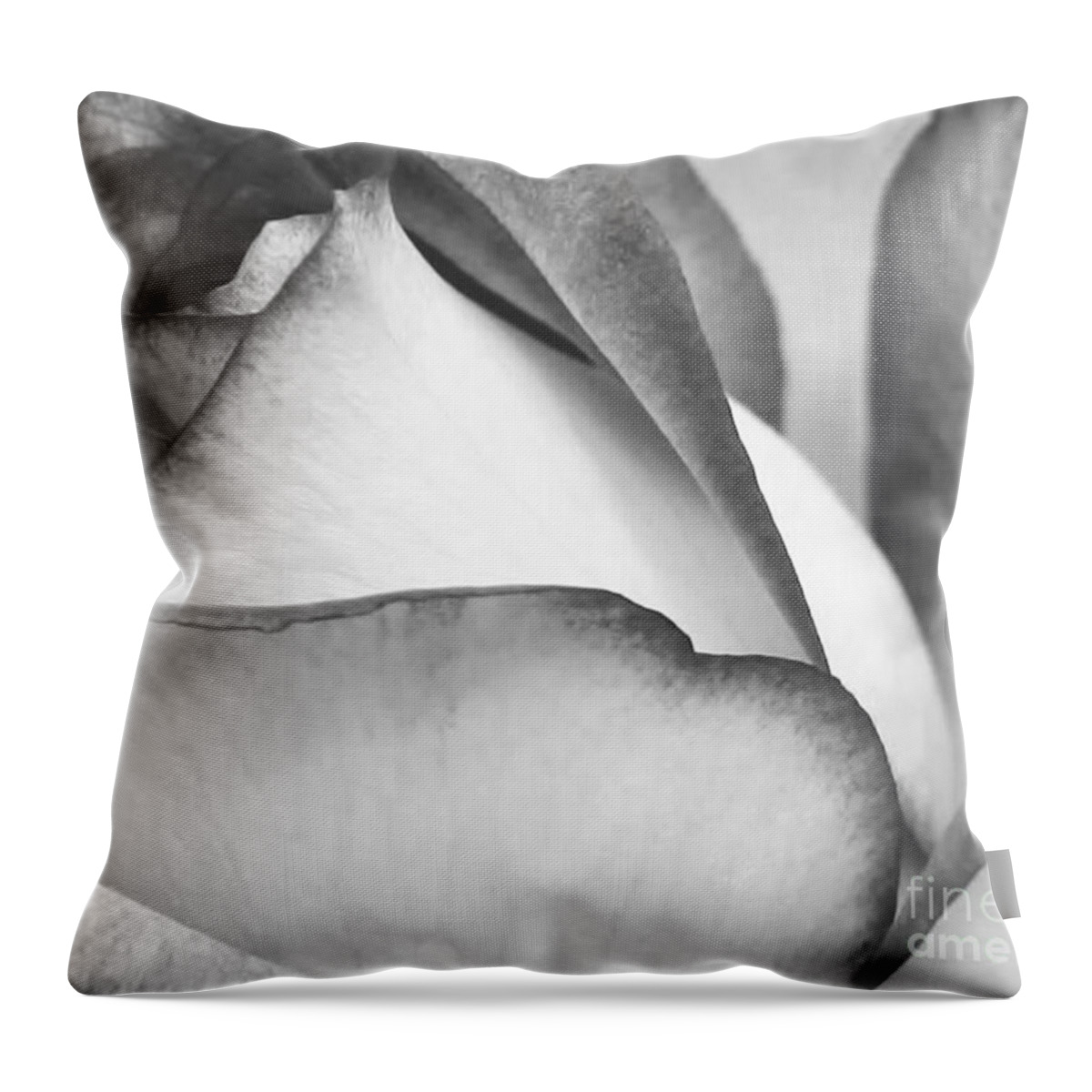 Macro Throw Pillow featuring the photograph Sweet Black and White Rose by Sabrina L Ryan