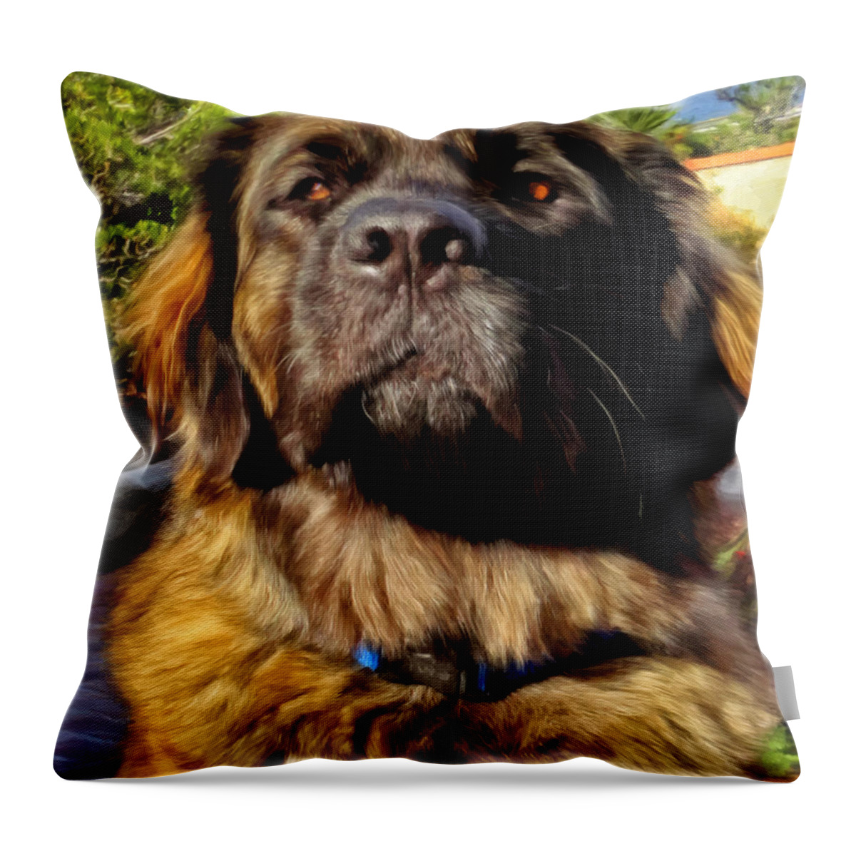  Leonberger Throw Pillow featuring the painting Sweet Emmy by Michael Pickett