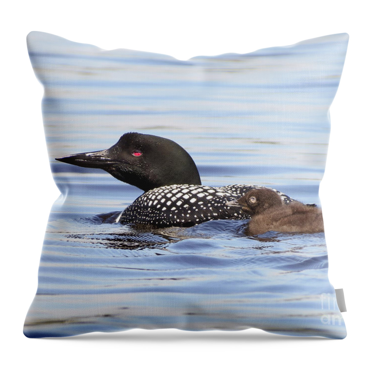 Maine Throw Pillow featuring the photograph Sweet Loons by Karin Pinkham