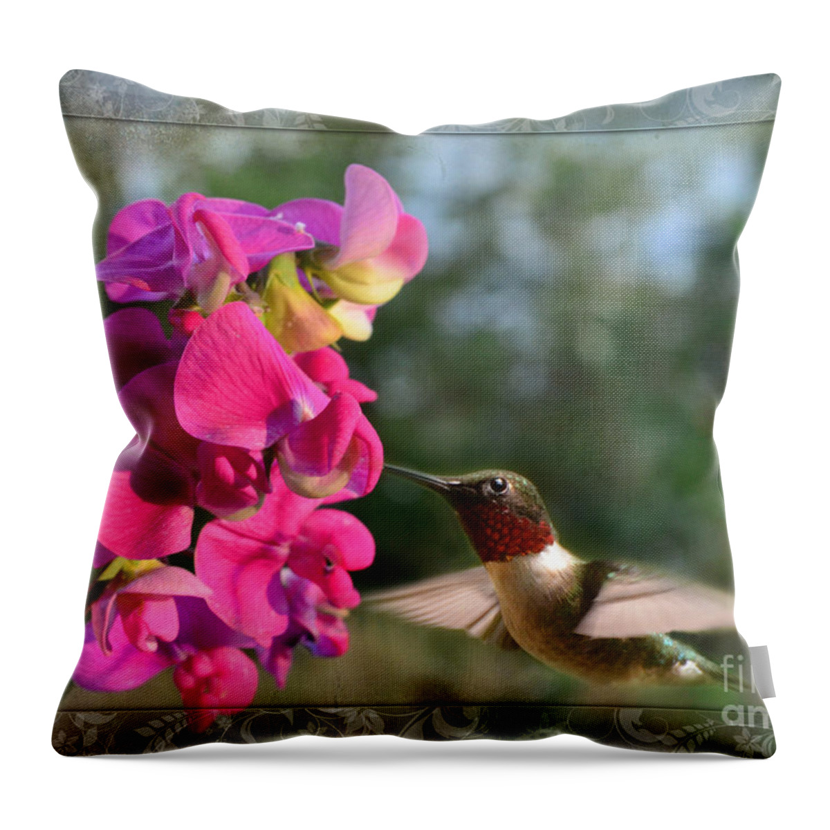 Nature Throw Pillow featuring the photograph Sweet Pea Hummingbird III by Debbie Portwood